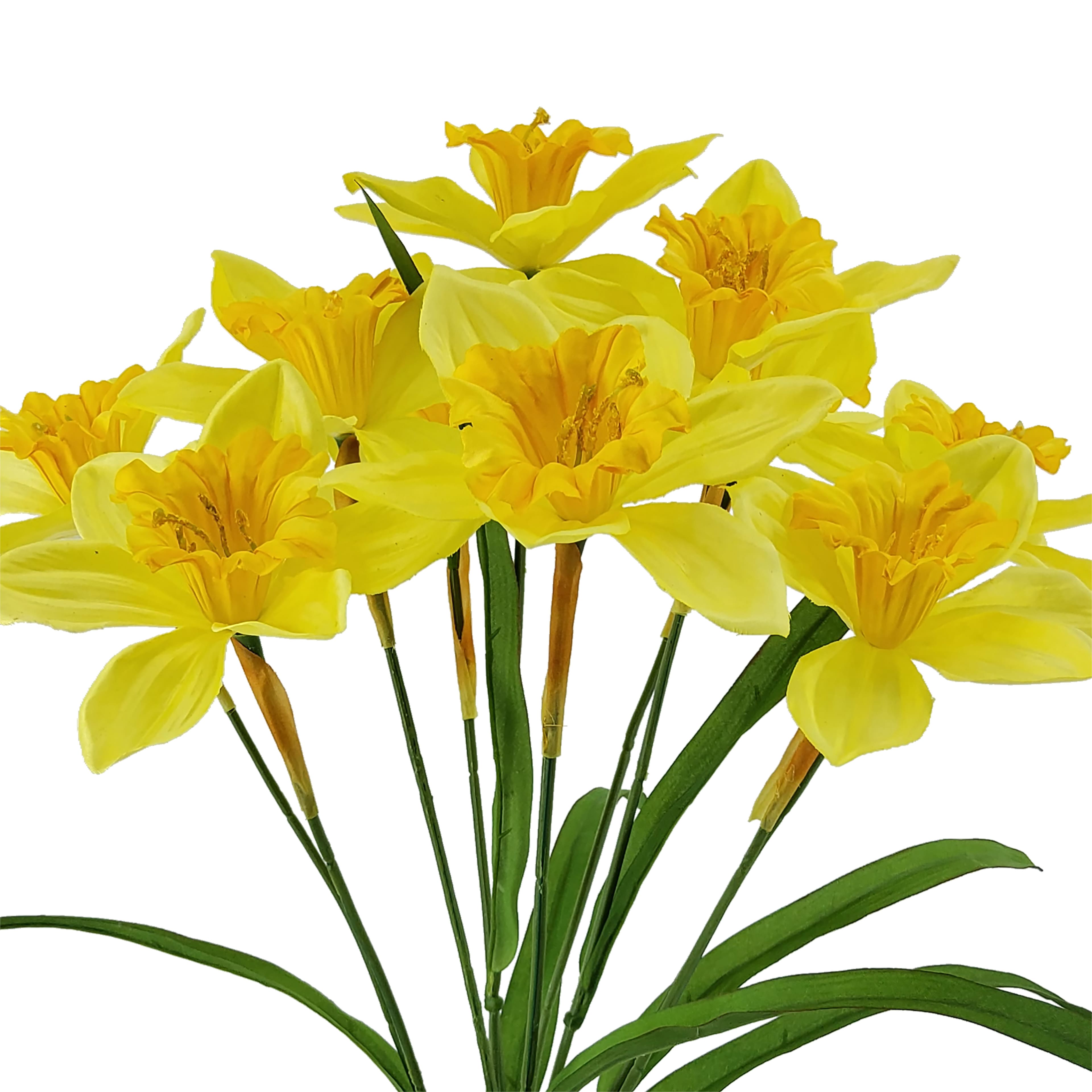 20" Daffodil Bush by Ashland®