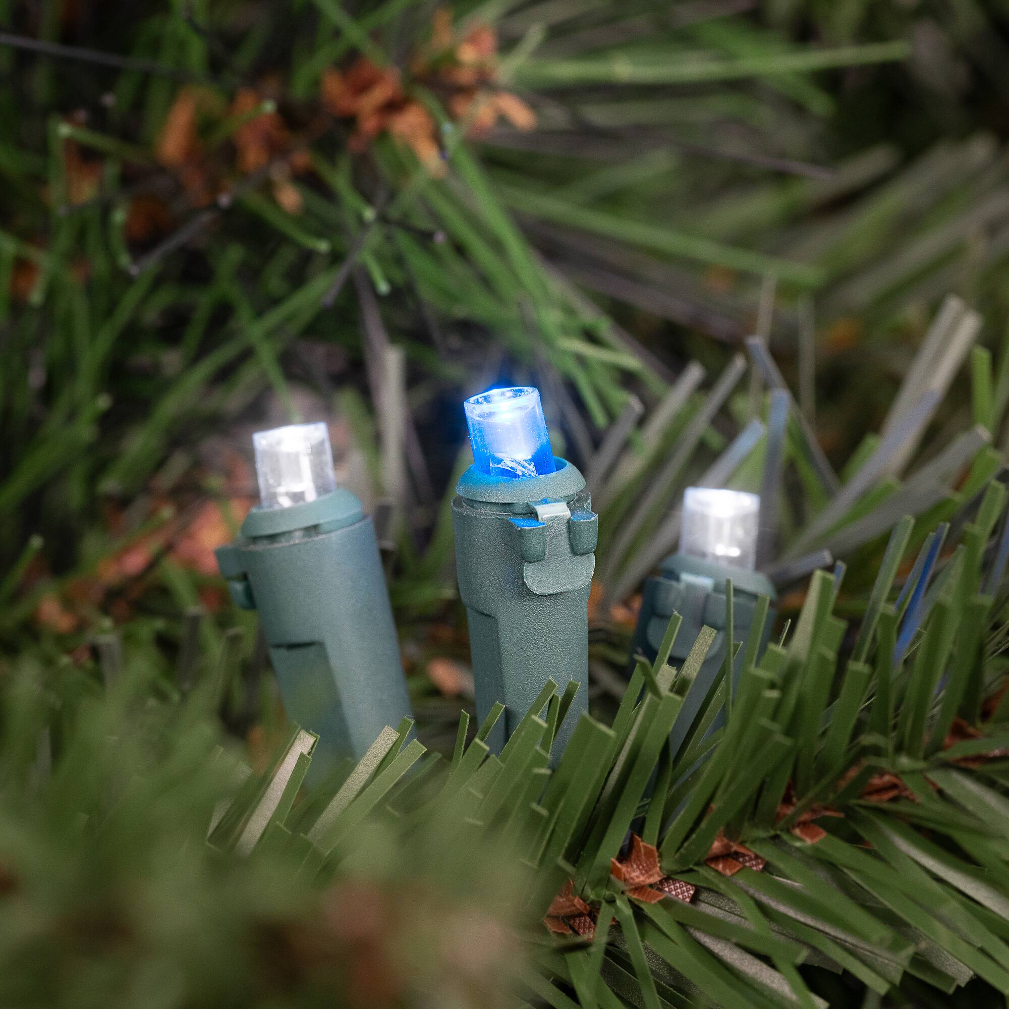 50ct Blue and White LED Wide Angle Mini Christmas Lights  16.25ft Green Wire