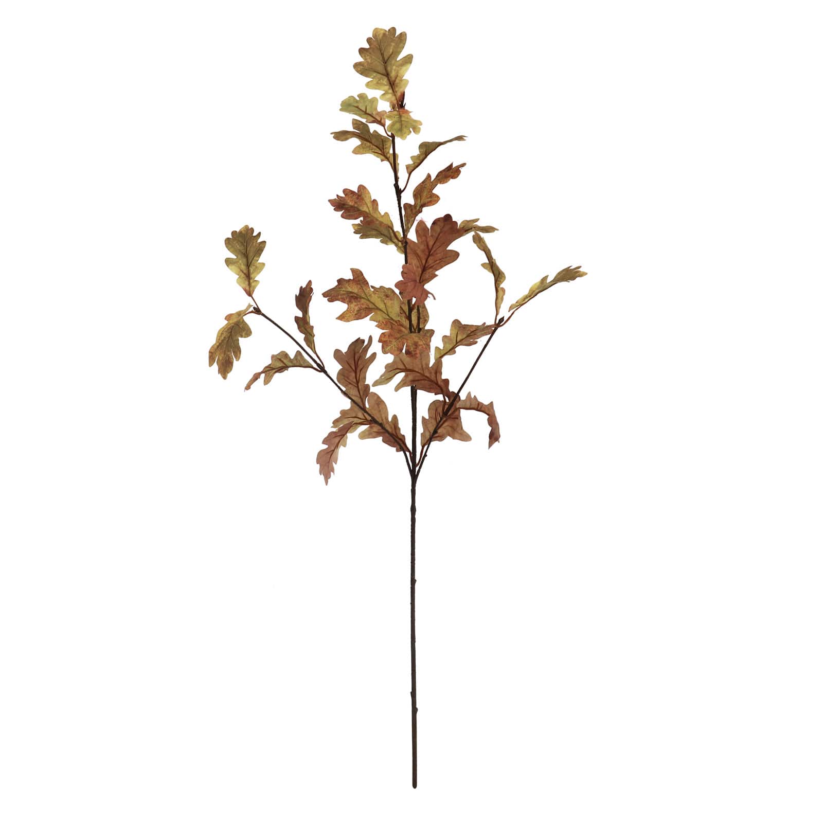 34" Brown Oak Leaf Stem by Ashland®