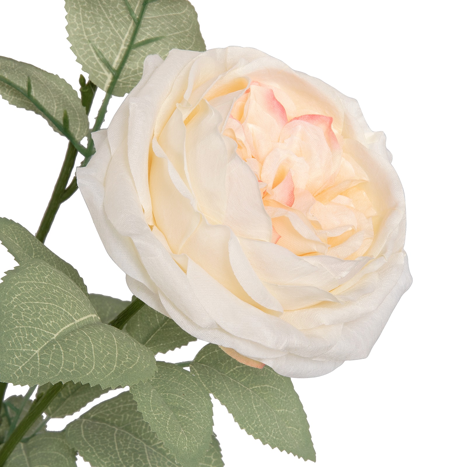 18.5" Cabbage Rose Deluxe Bush by Ashland®