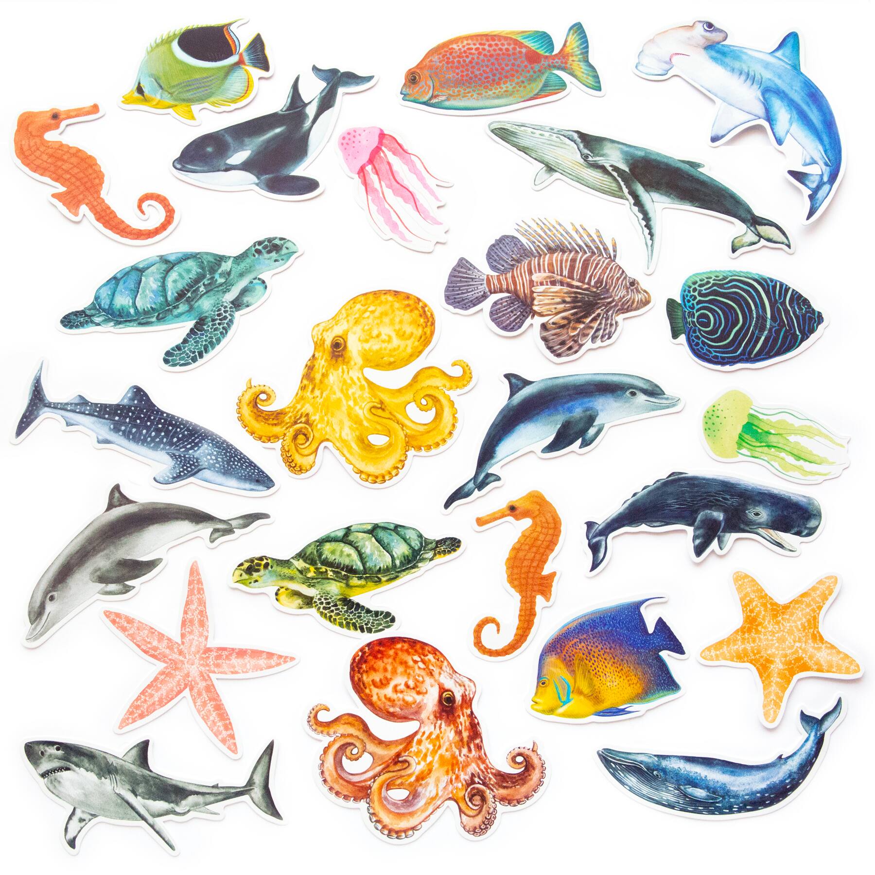 12 Pack: Sealife Die Cut Stickers by Recollections™