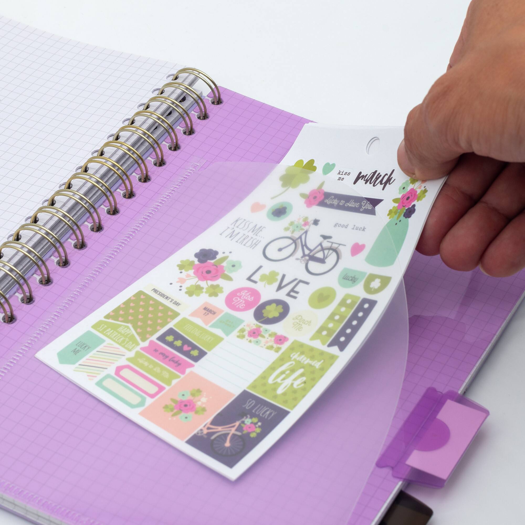 Pukka Pads Purple B5 Rochelle & Jess Squared Project Books, 3ct.