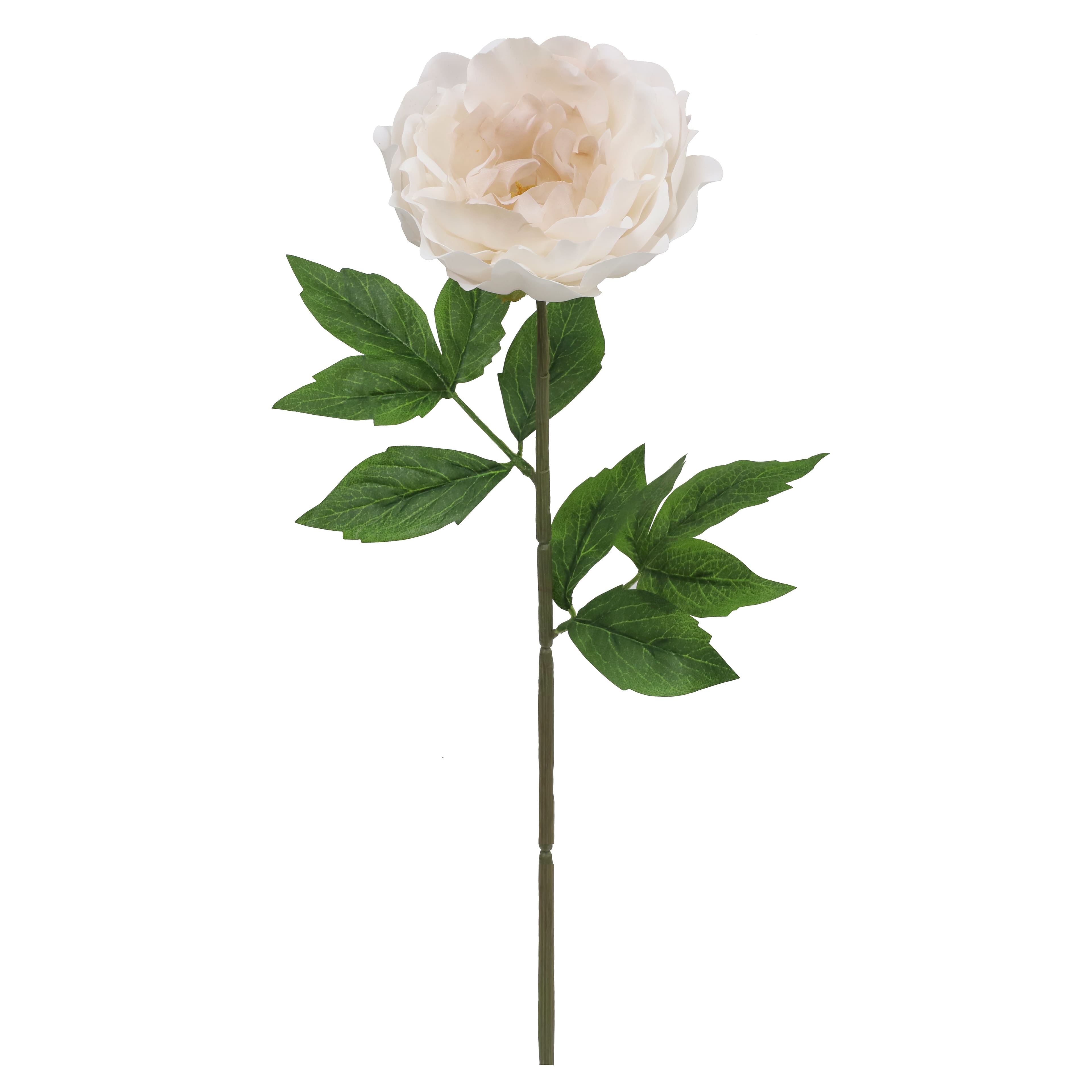 27" Peony Real Touch Stem by Ashland