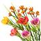 16" Mini Poppy Bush by Ashland®