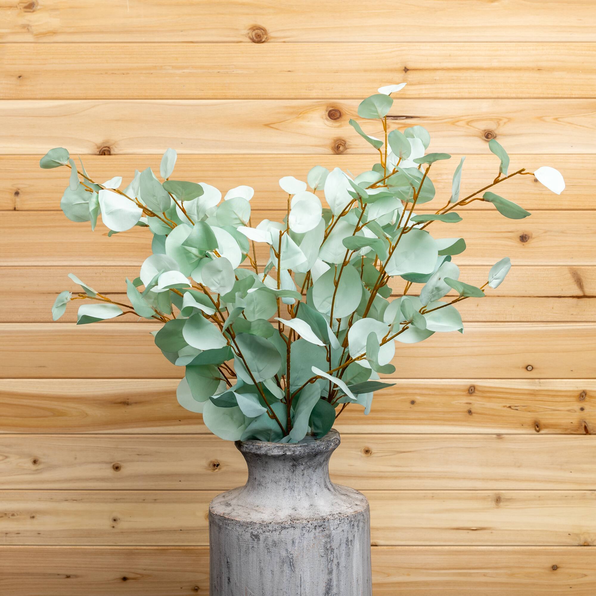 Eucalyptus Spray