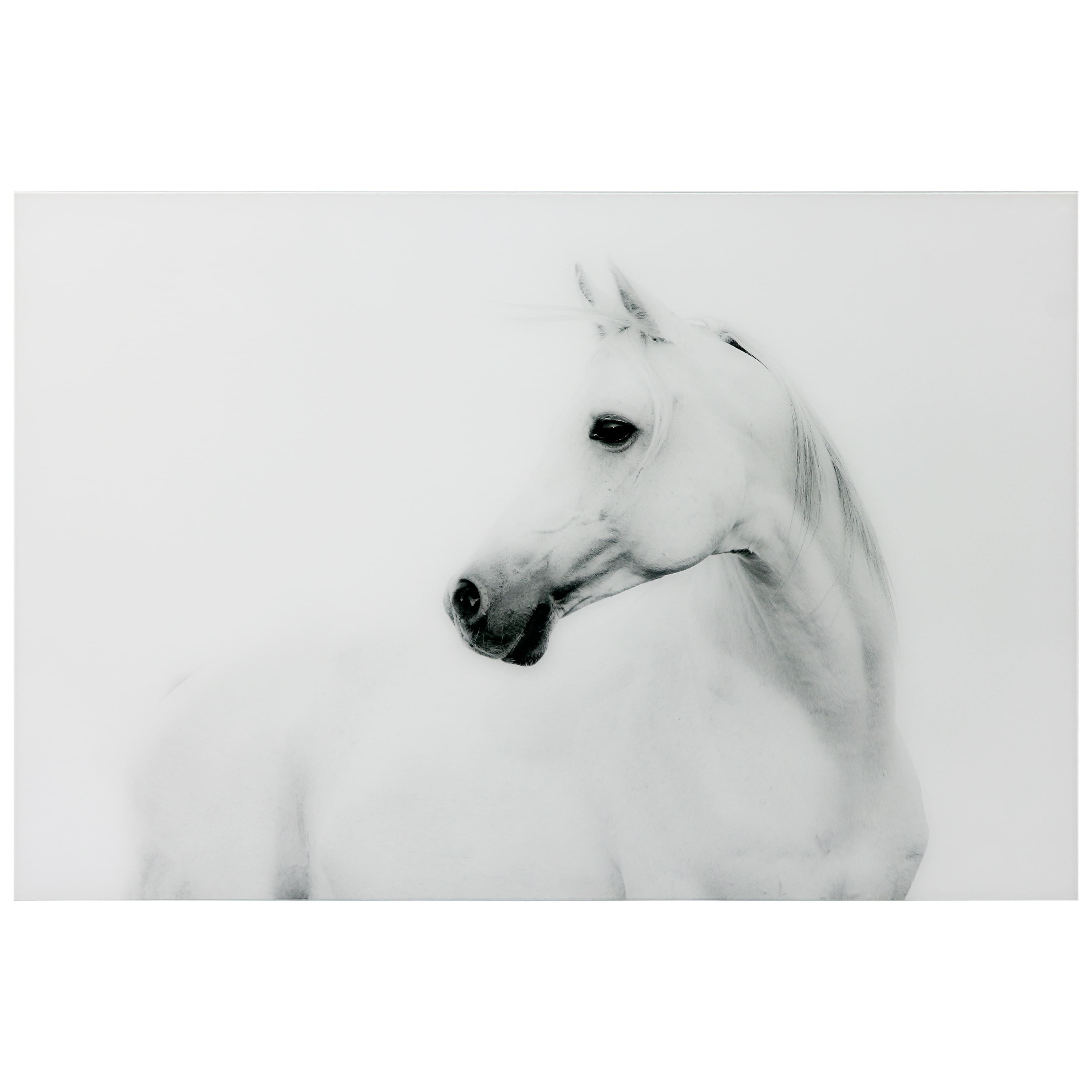 Empire Art Direct 48" x 32" Blanco Stallion Horse Frameless Printed Tempered Glass Wall Art