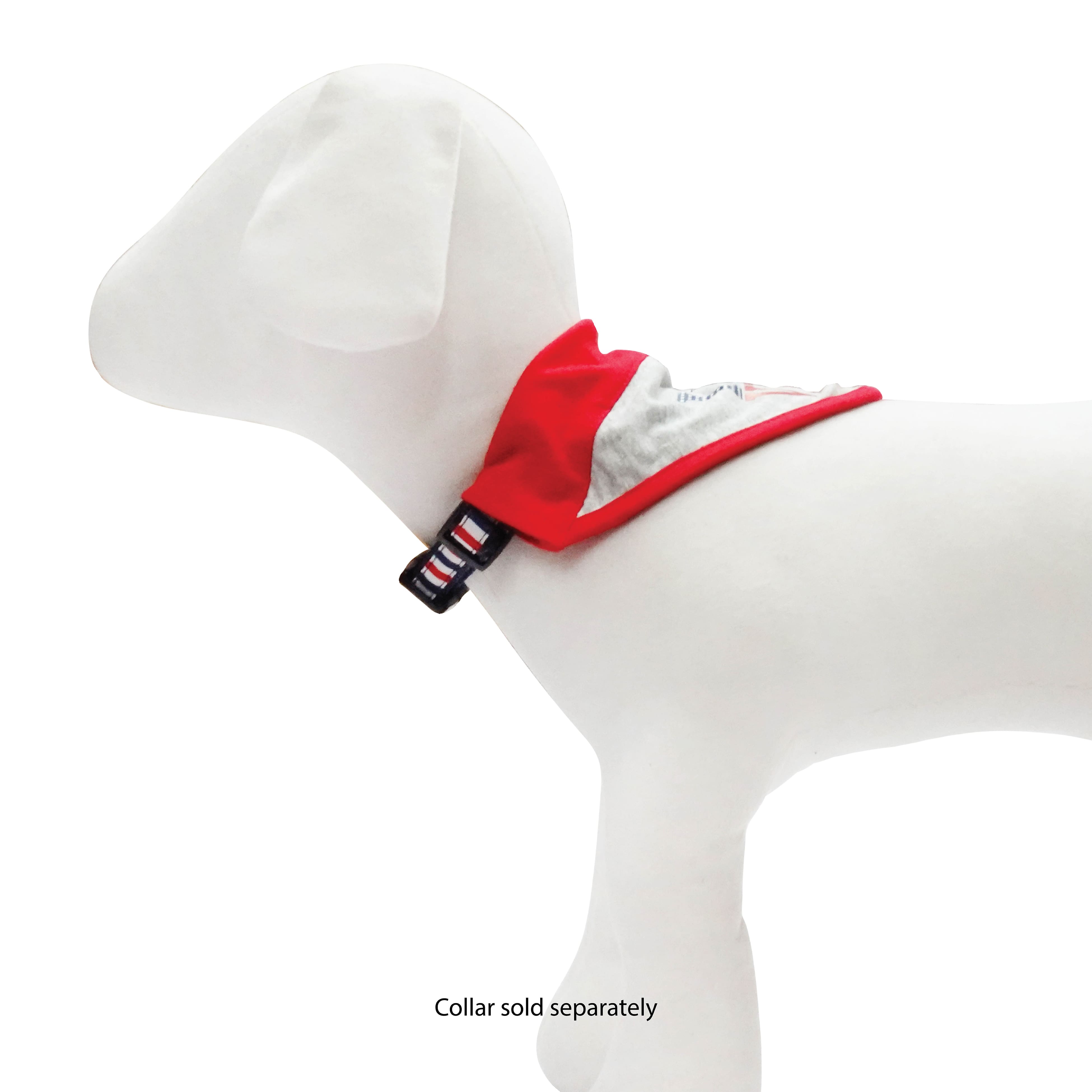 Best Furry Friends Patriotic Bandana Slides