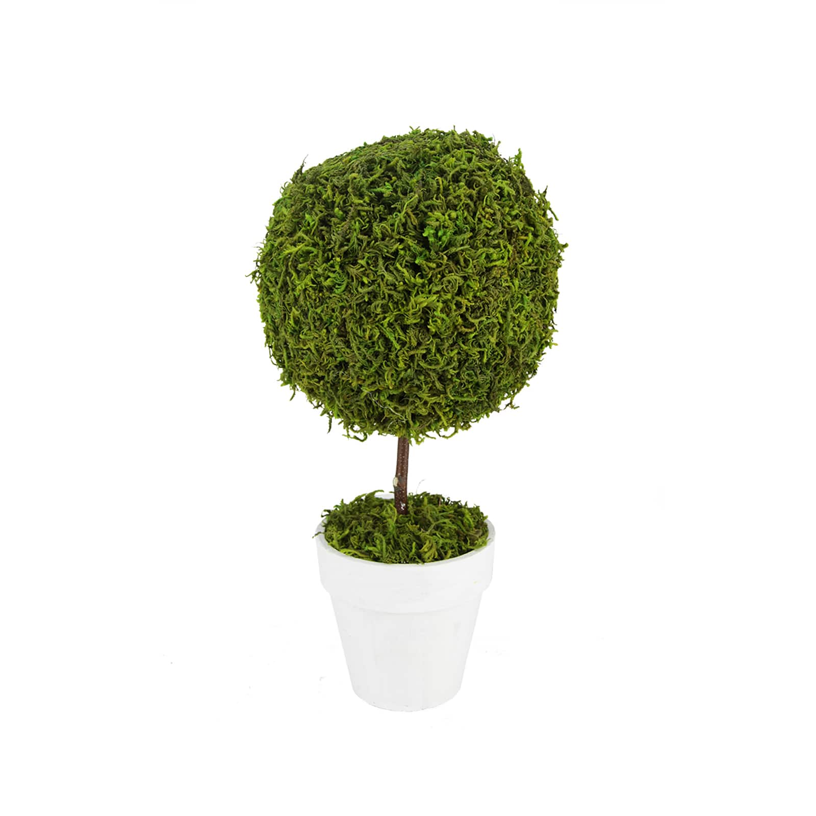 15" Artificial Reindeer Moss Ball Topiary Tree in White Pot