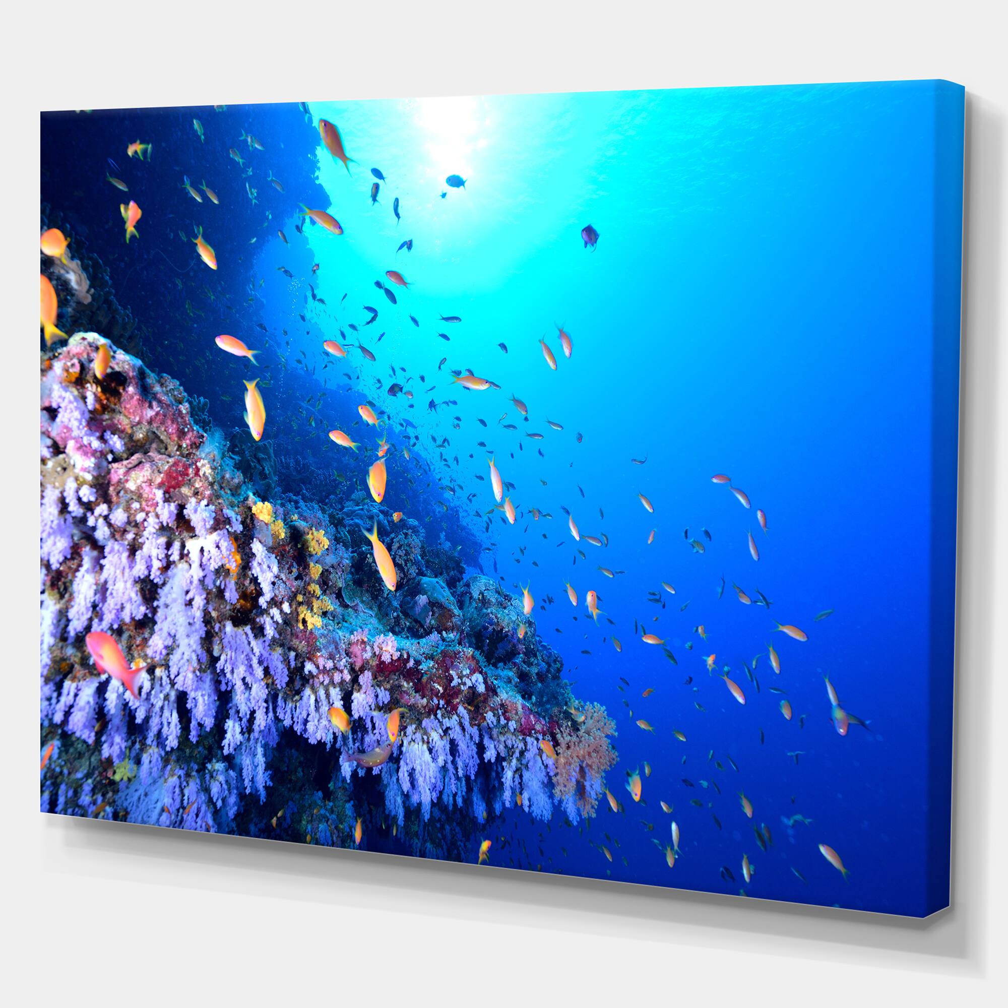 Designart - Coral Reef With Different fish Swimming