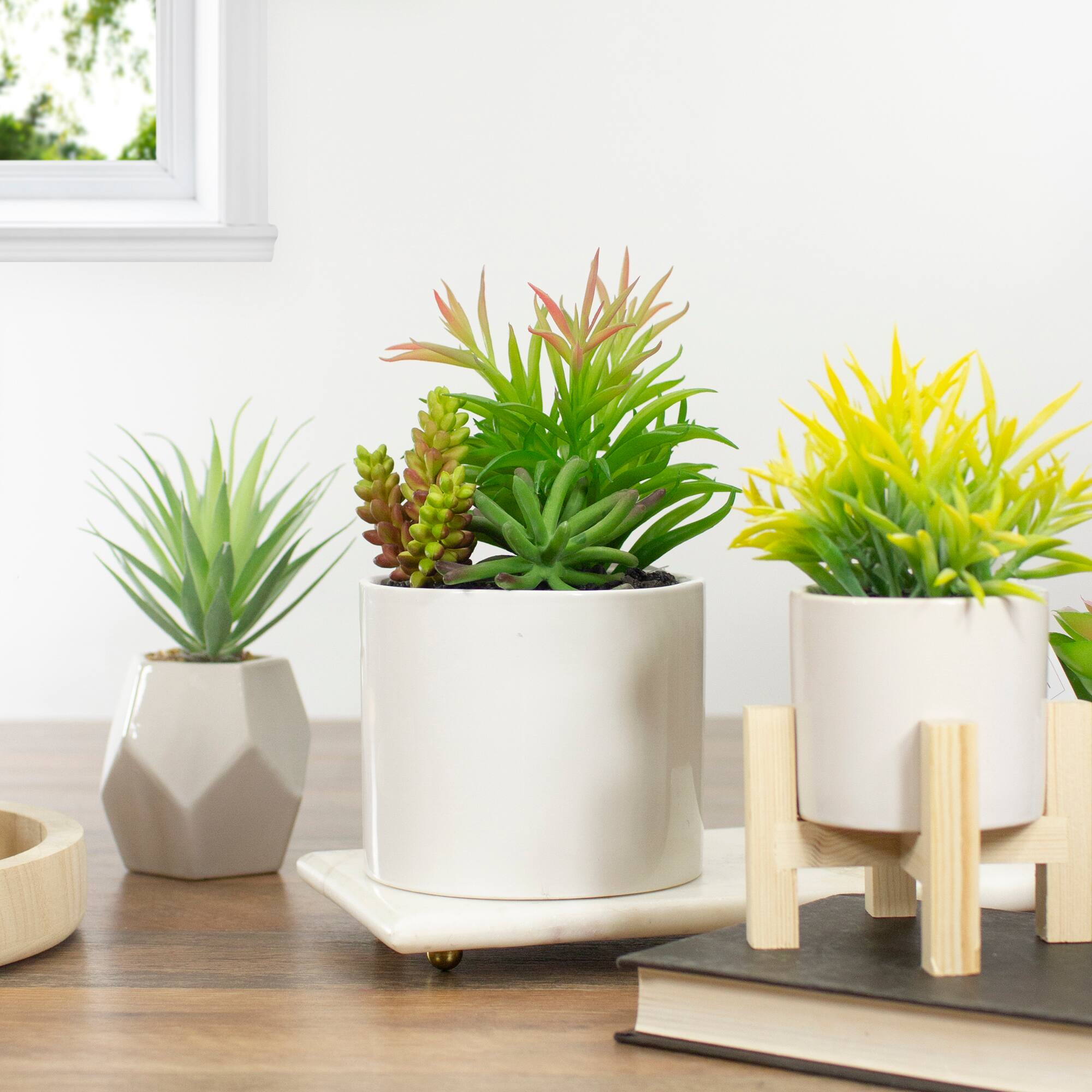 9" Succulent Arrangement in White Ceramic Pot