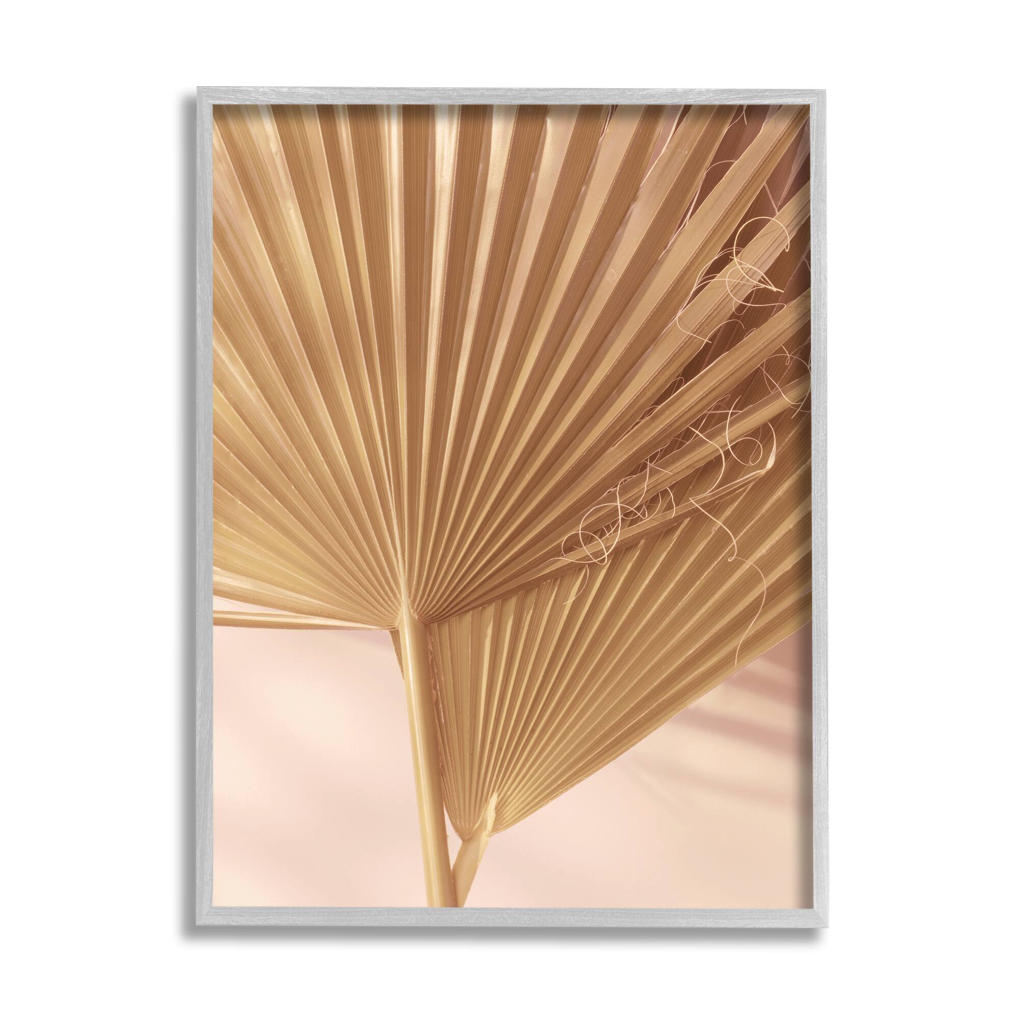 Stupell Industries Two Palm Fronds Sun Bleached Photography Tropical Plants Framed Wall Art