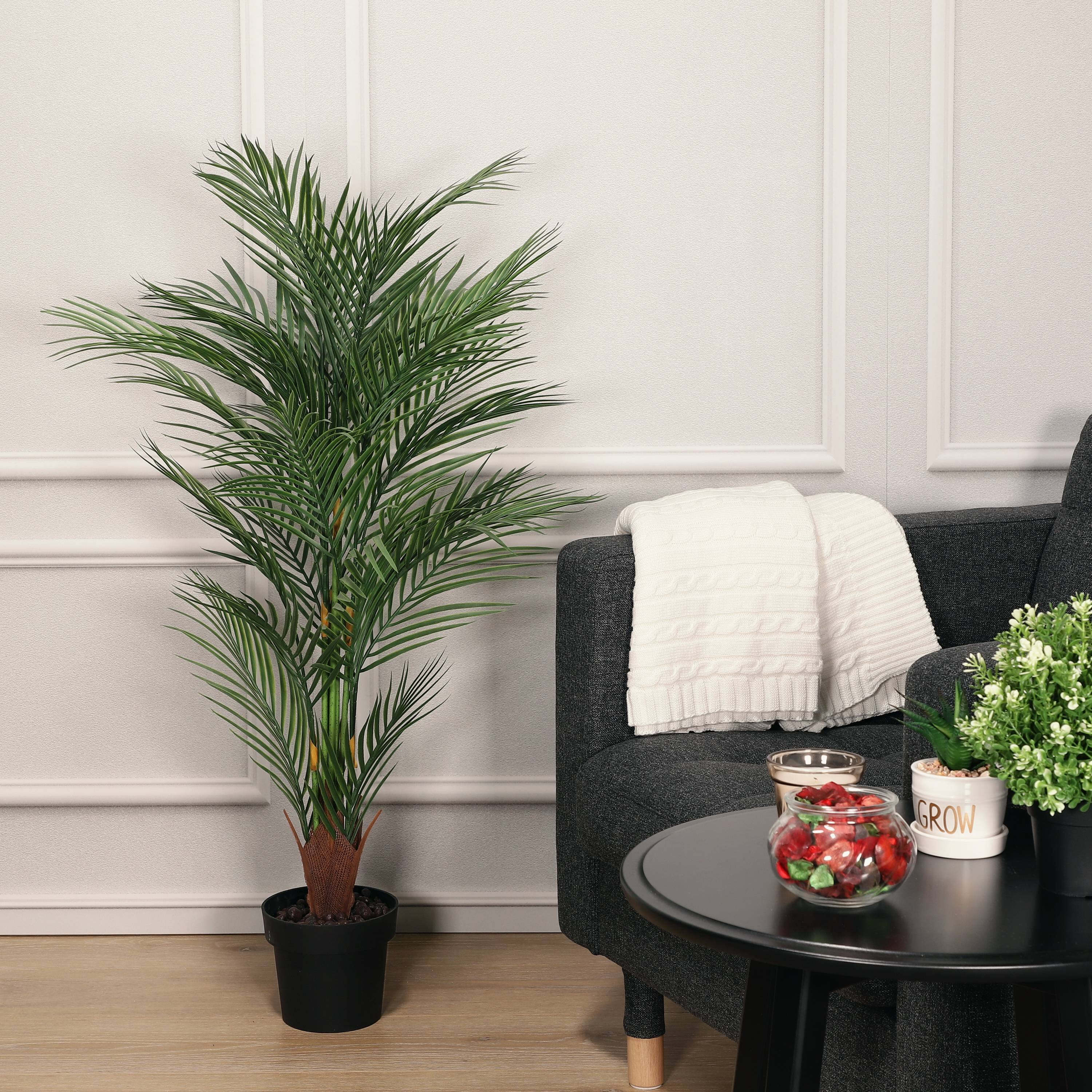 6 Pack: 4ft. Potted Areca Palm Tree