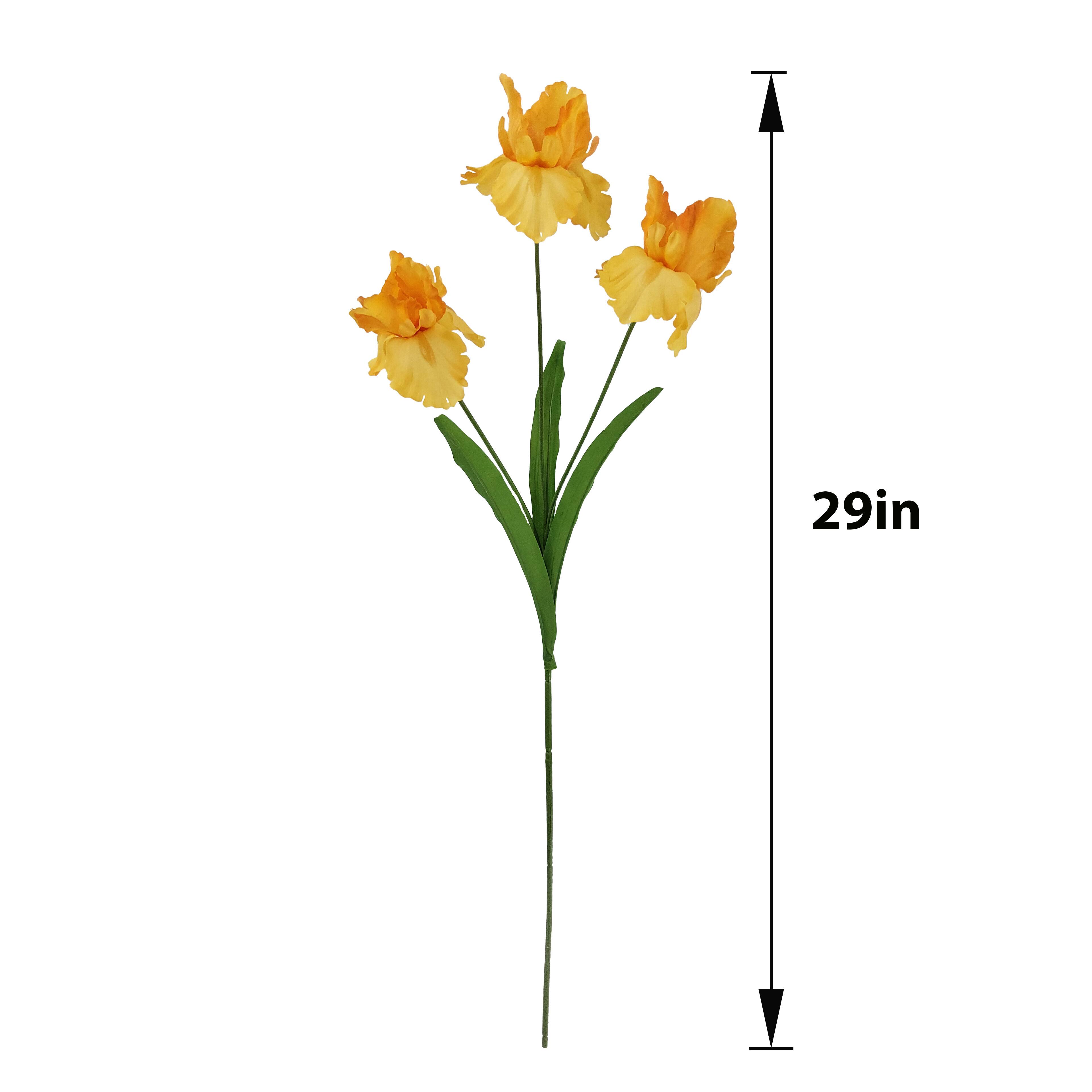 29" Yellow Iris Stem by Ashland®