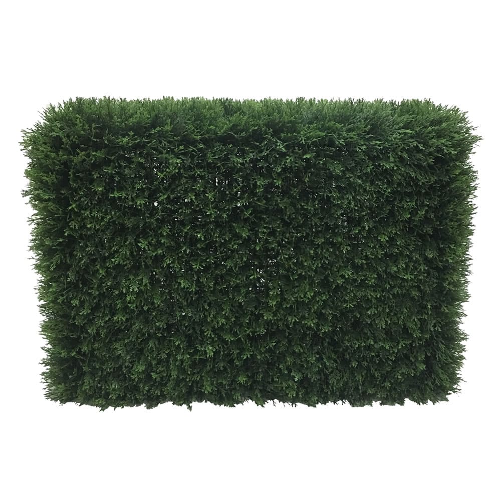 3ft. Green Cedar Hedge