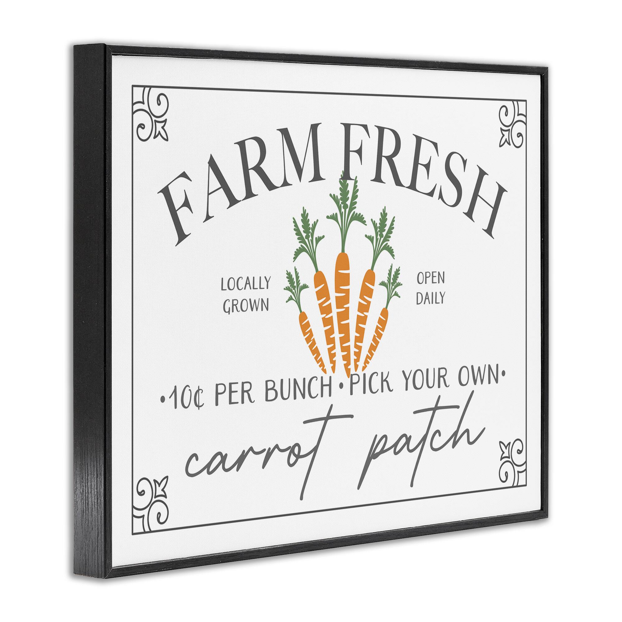Stupell Industries Farm Fresh Carrot Patch Seasonal Springtime Vegetables Framed Giclee Art