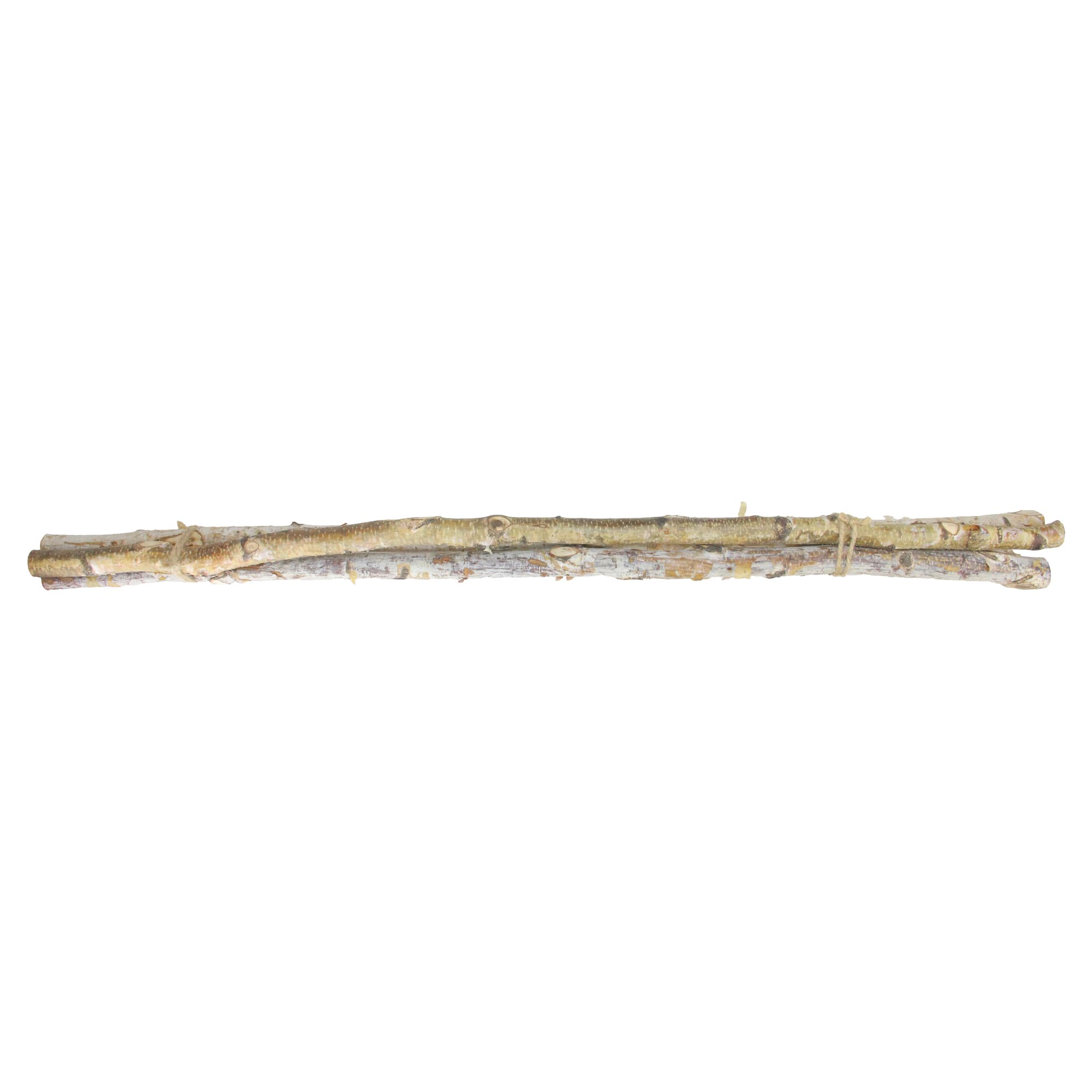 Brown Birch Wood Branch Bundle, 3ct.