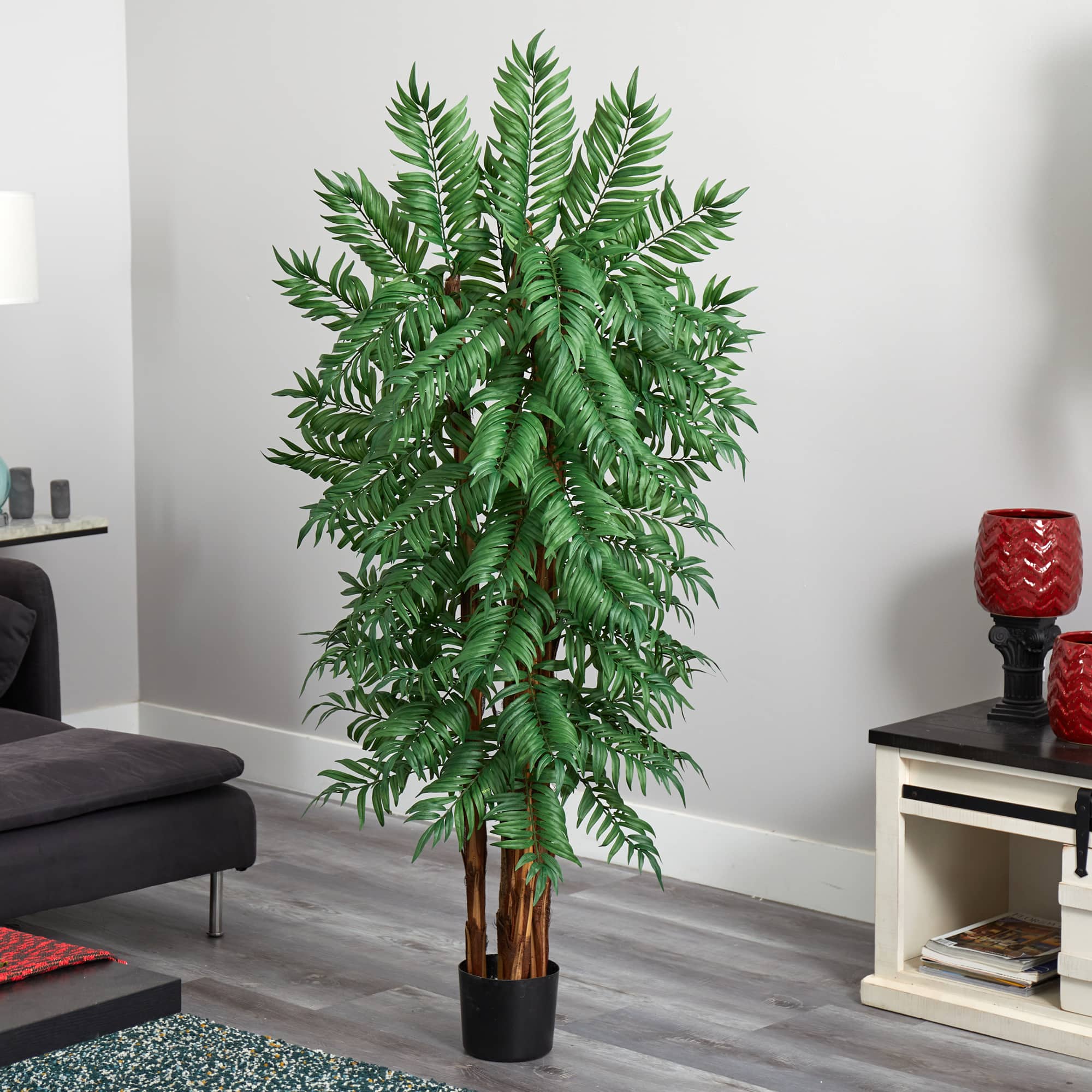 5.5ft. Potted Parlour Palm Tree