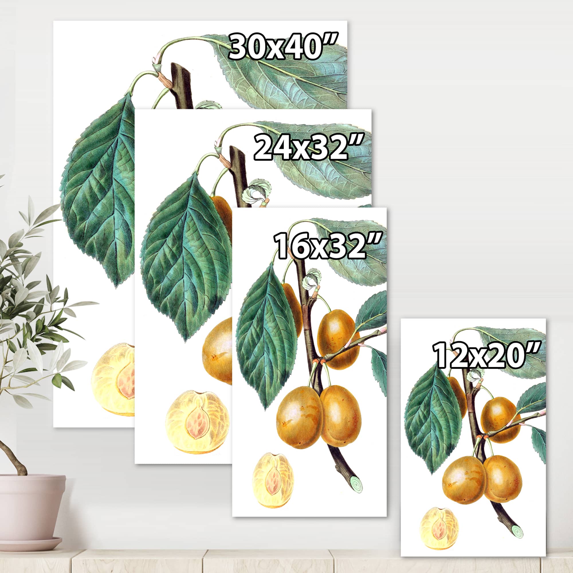 Designart - Vintage Fruits II - Farmhouse Canvas Wall Art Print