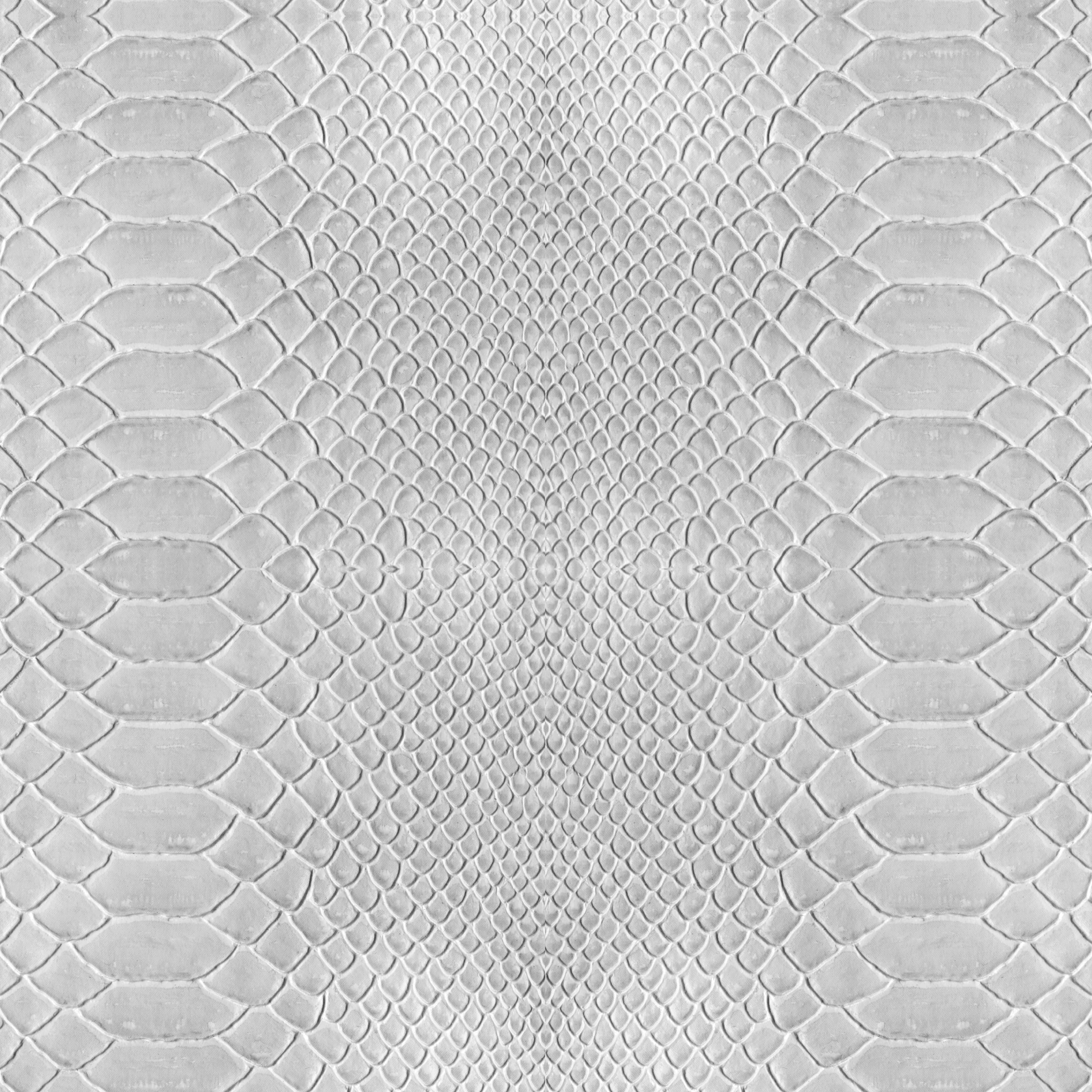 Simplify Gray Python Adhesive Wallpaper