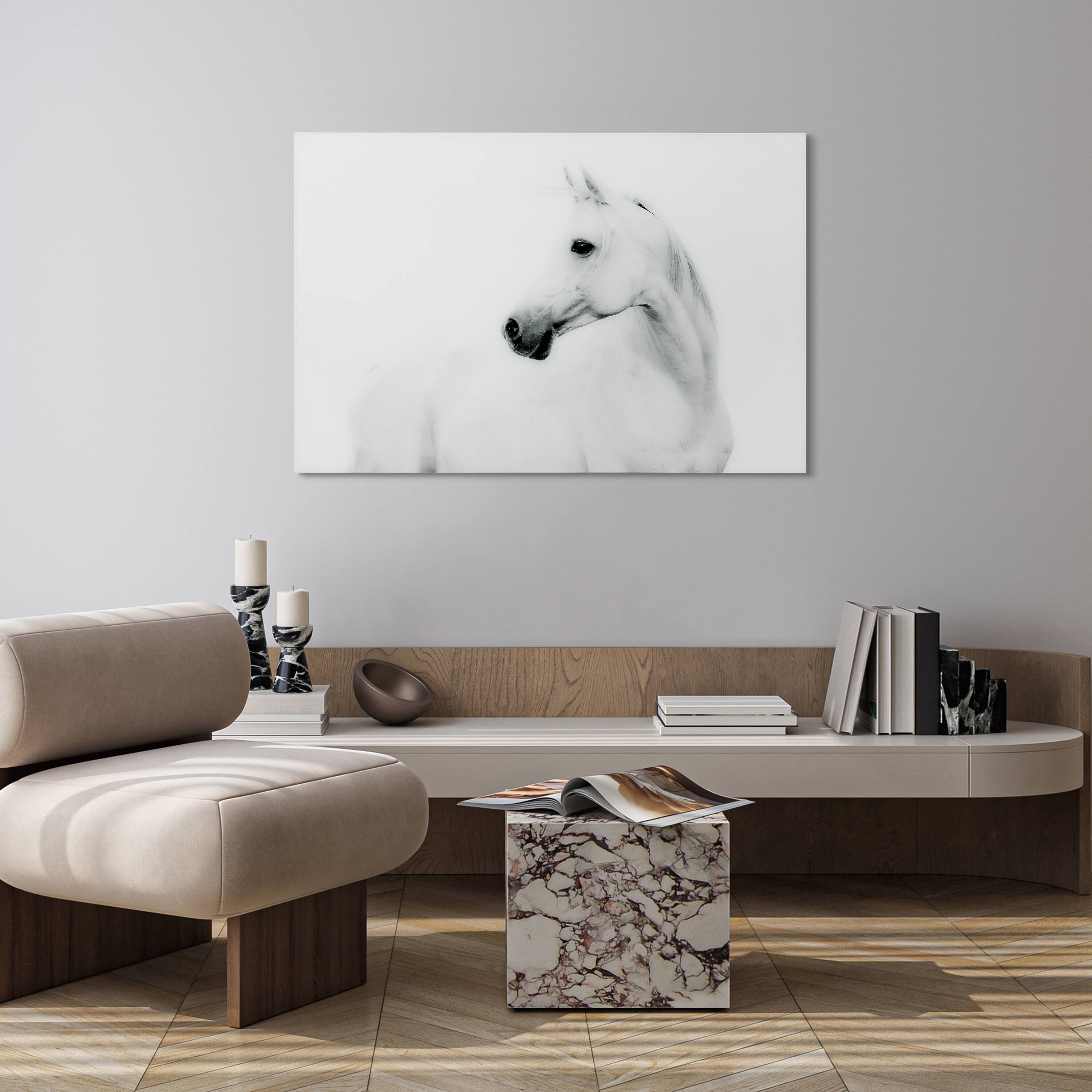Empire Art Direct 48" x 32" Blanco Stallion Horse Frameless Printed Tempered Glass Wall Art