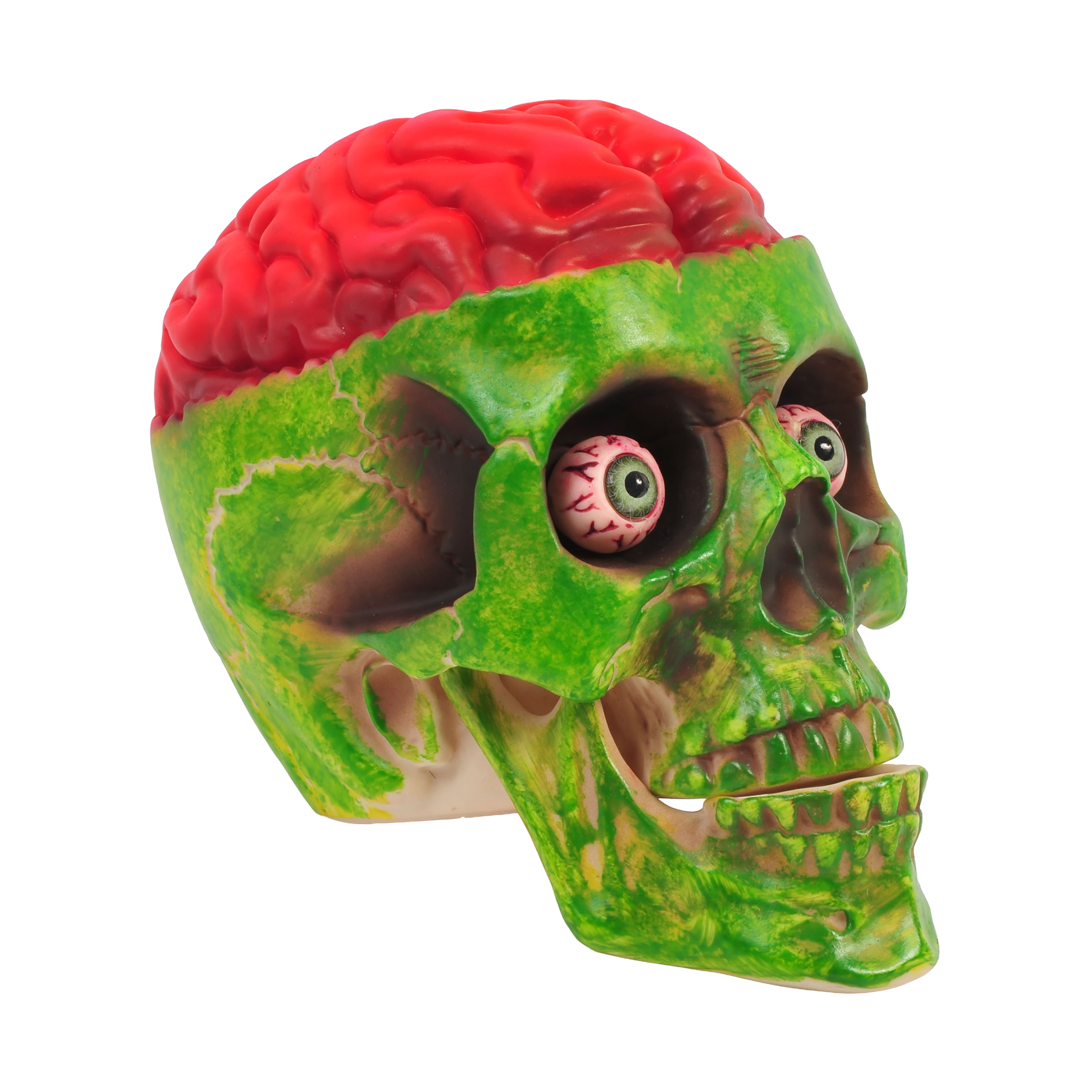 8" Brainy Skull by Ashland®