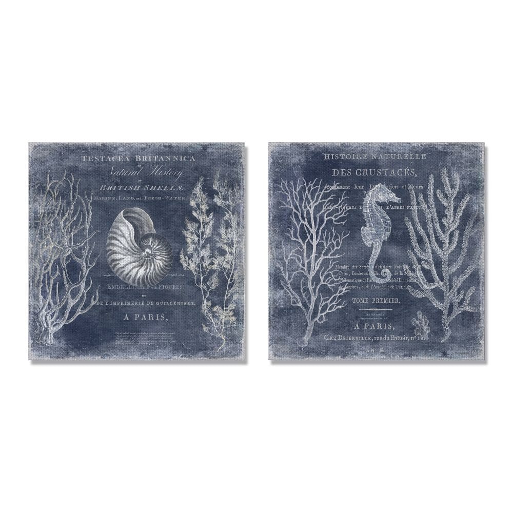 Stupell Industries Vintage European Shells and Seahorse Design,17" x 17"