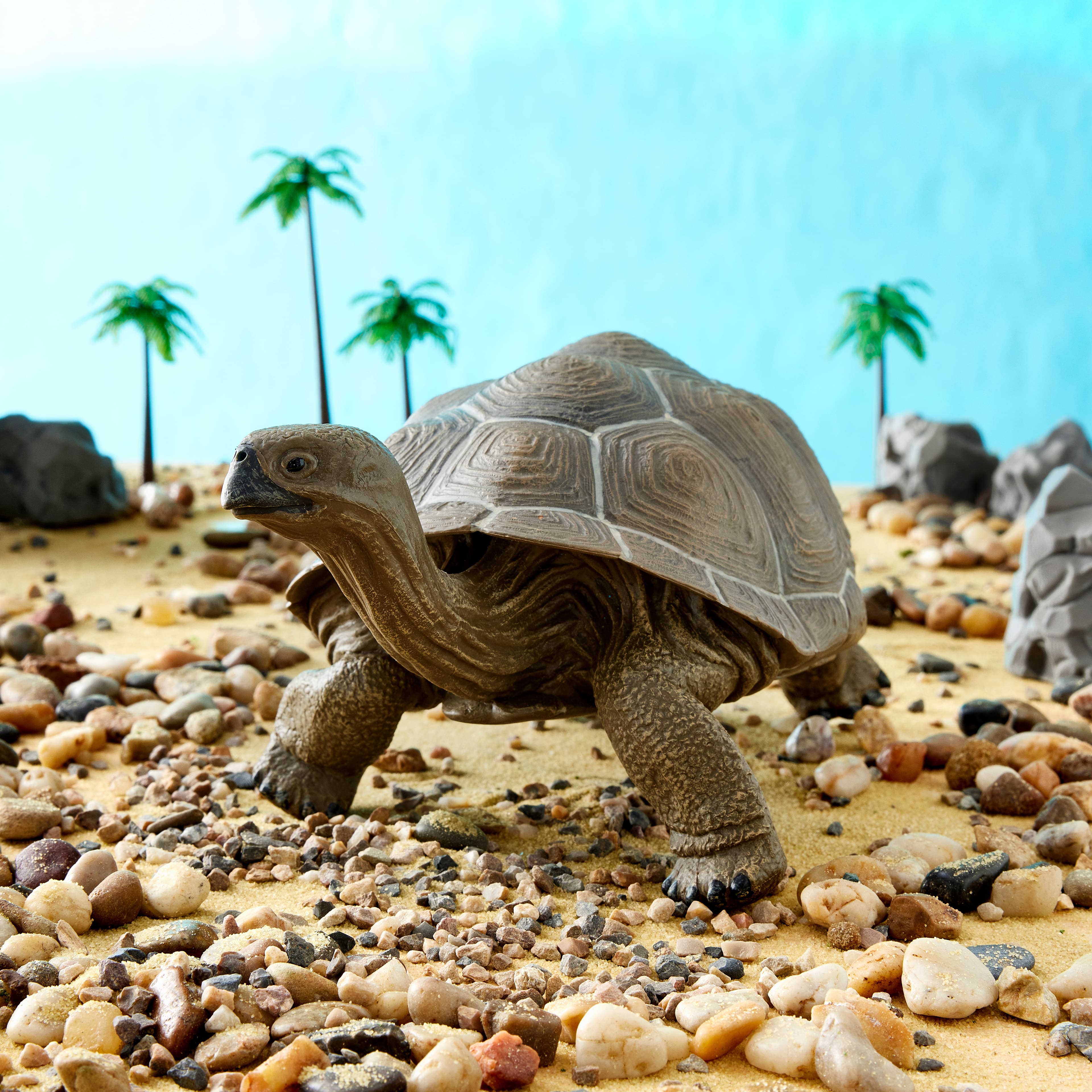Safari Ltd® Galapagos Tortoise
