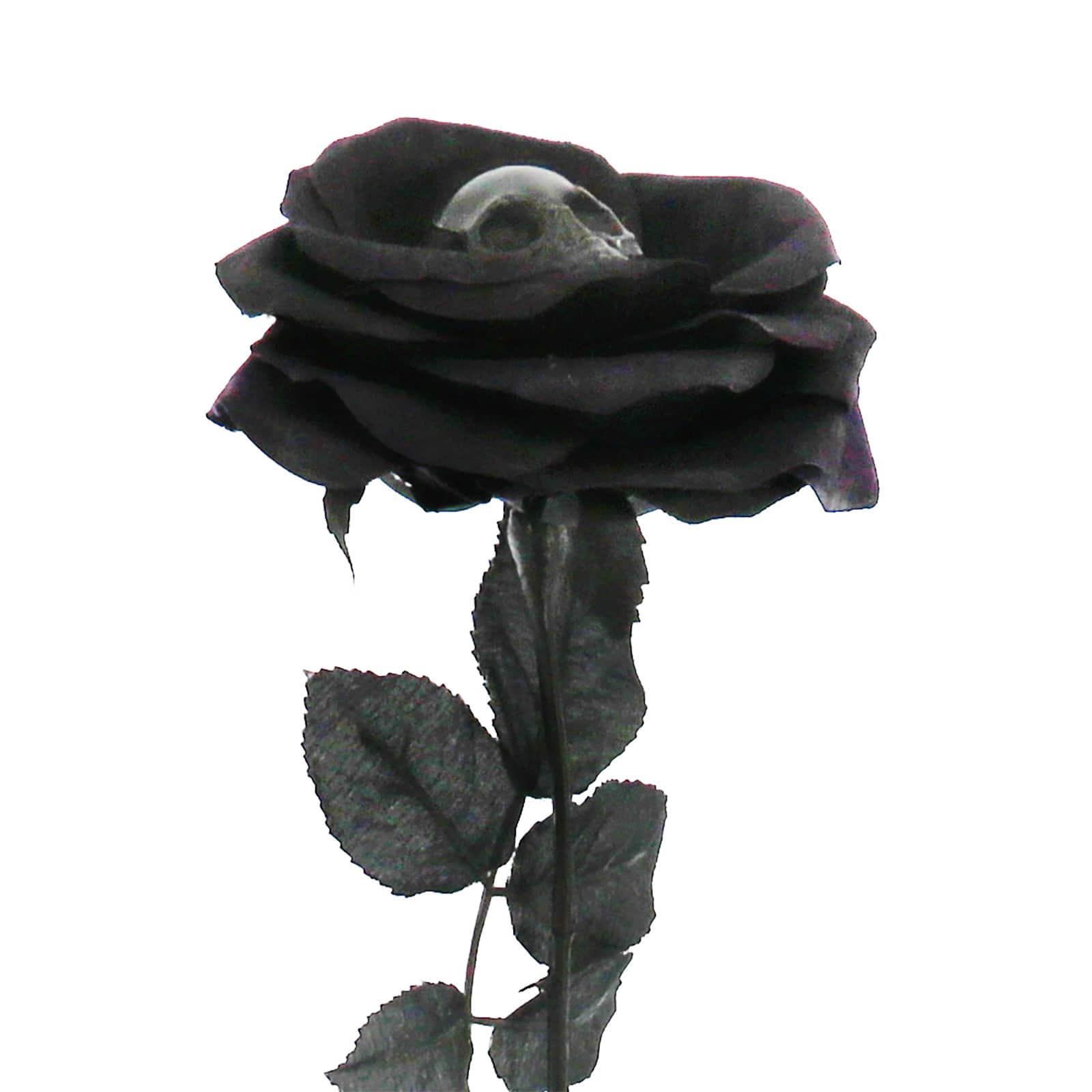 26" Black Rose with Skull Stem by Ashland®
