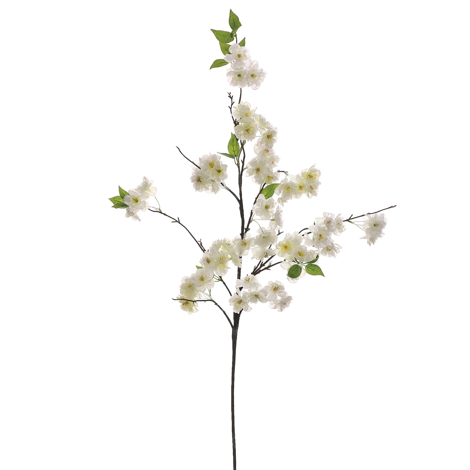 White Cherry Blossom Stem