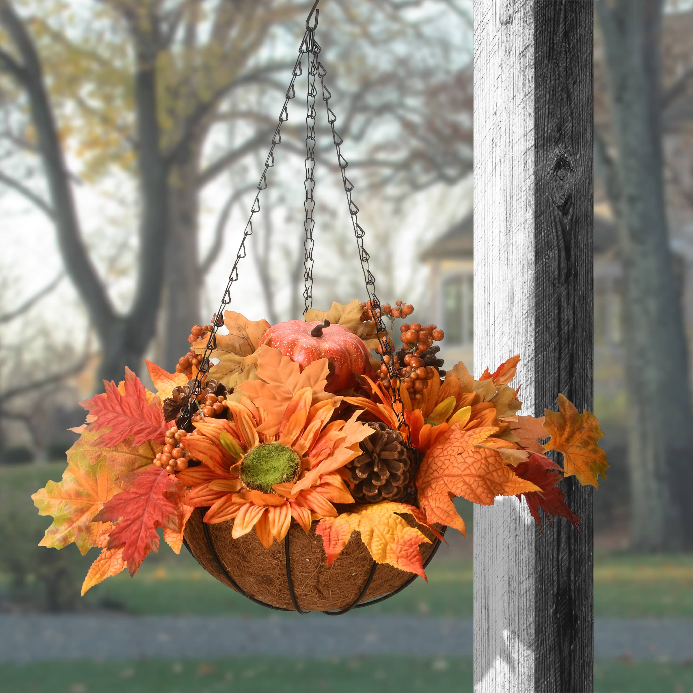18" Harvest Sunflower Hanging Basket