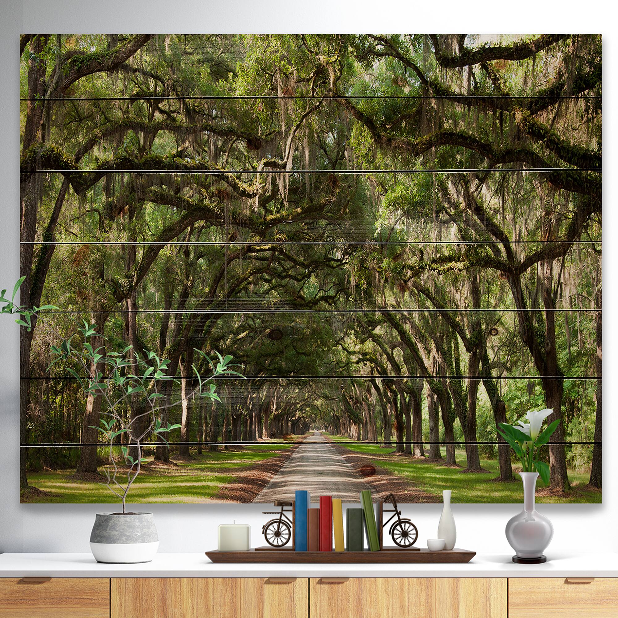 Designart - Live Oak Tunnel