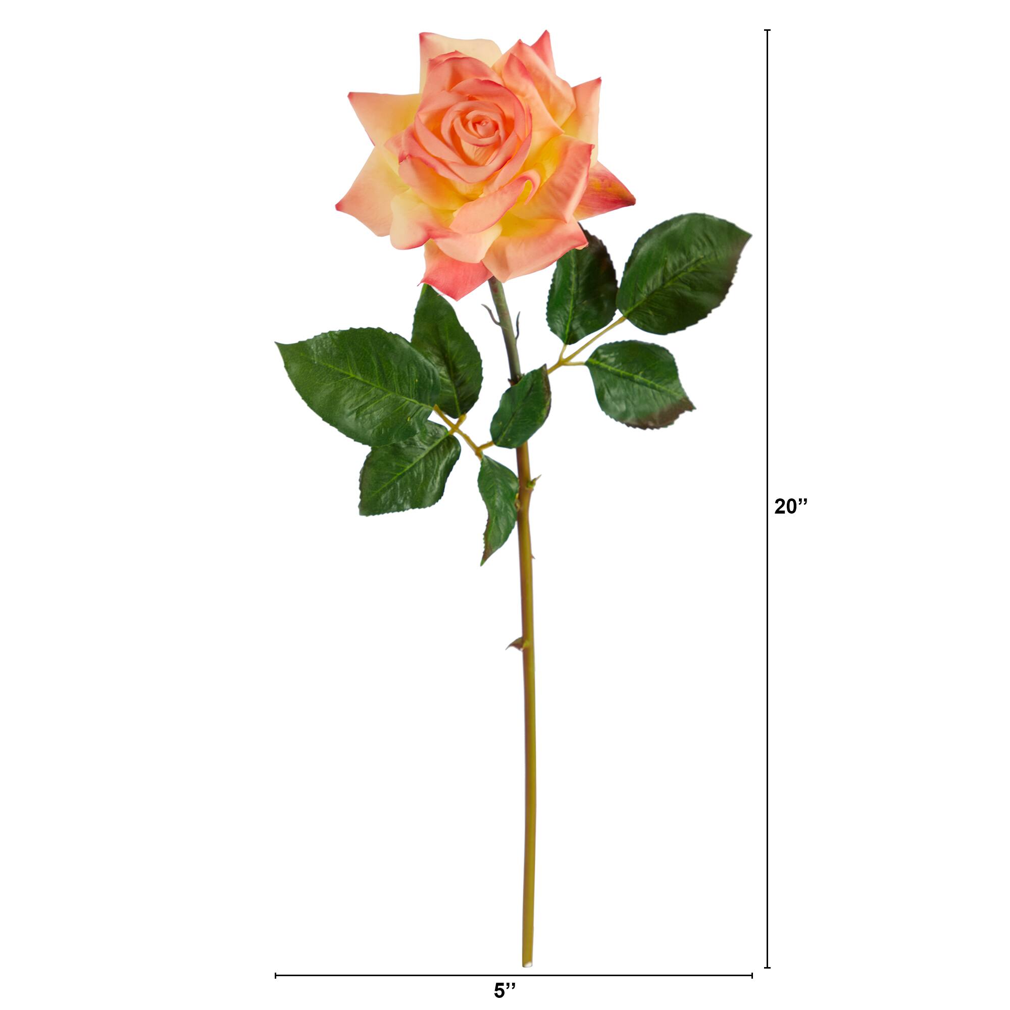 Orange Rose Stem, 6ct.