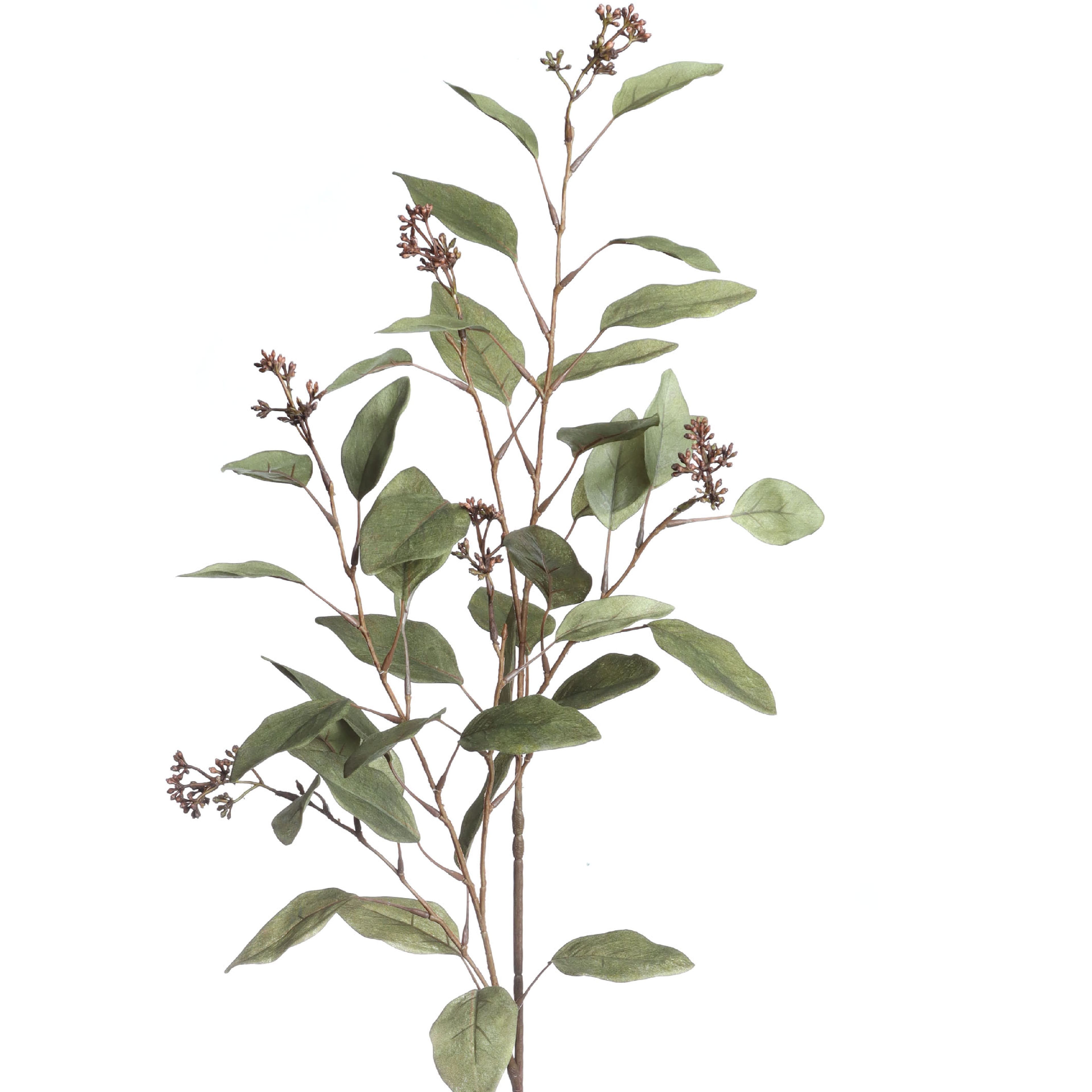 46" Green Eucalyptus Stem by Ashland®