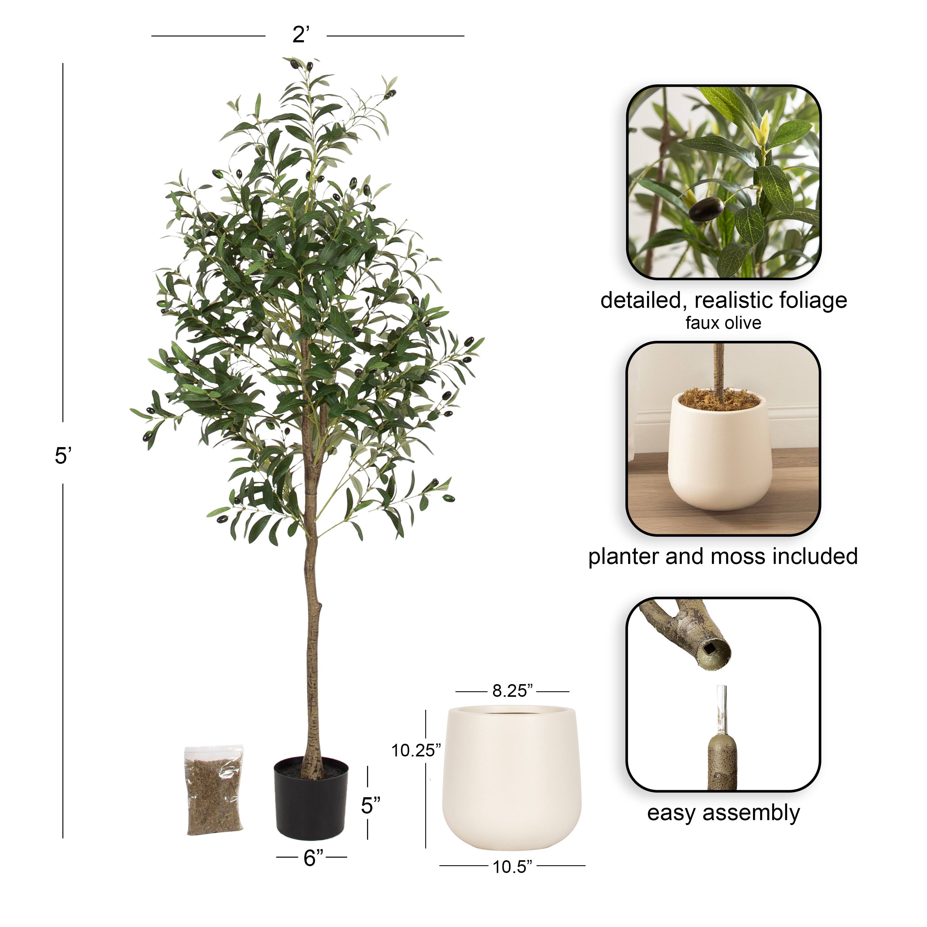 Kate and Laurel 5ft. Oliveira Faux Olive Tree with Jia Curved Cream Planter