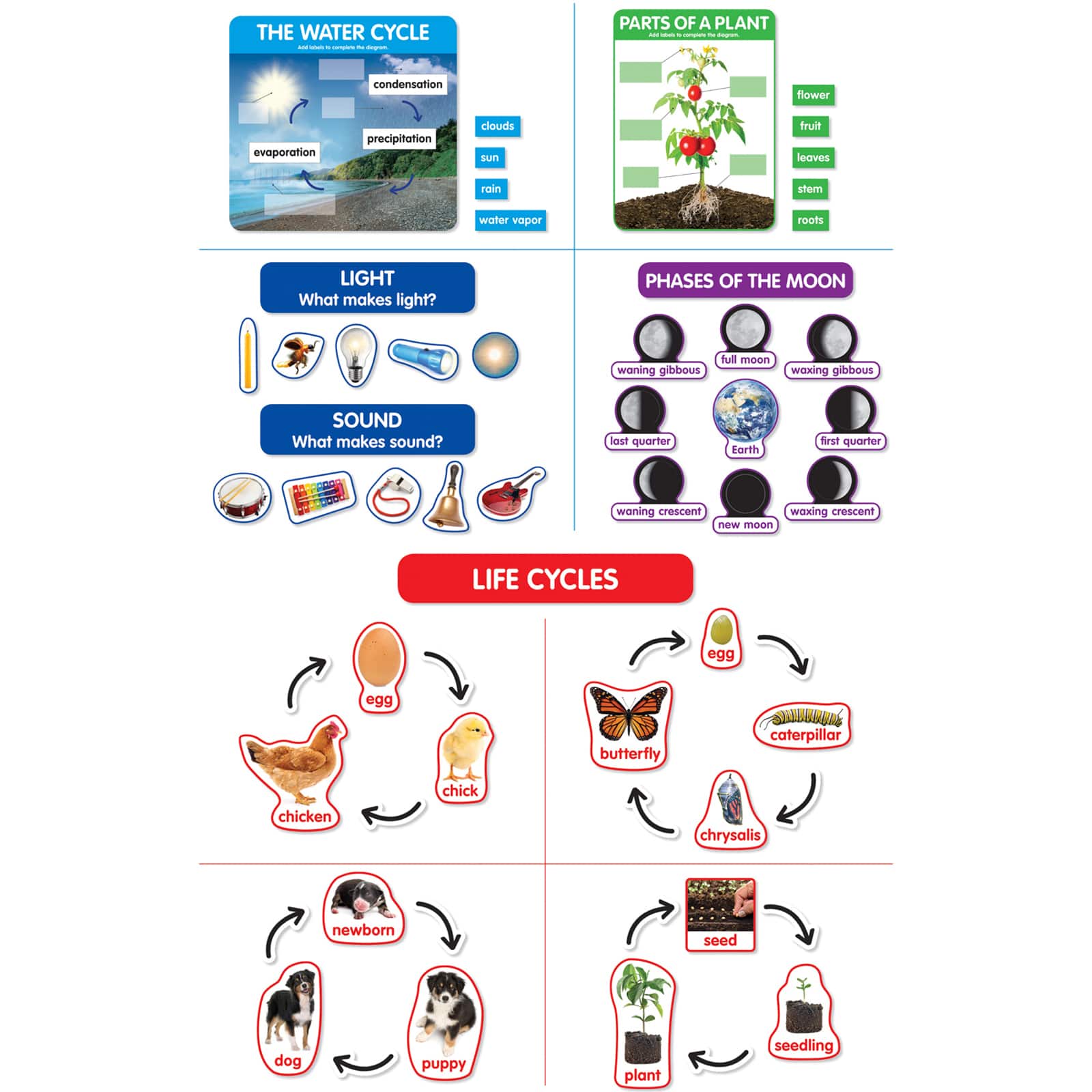 Scholastic® Early Science Concepts Bulletin Board Set