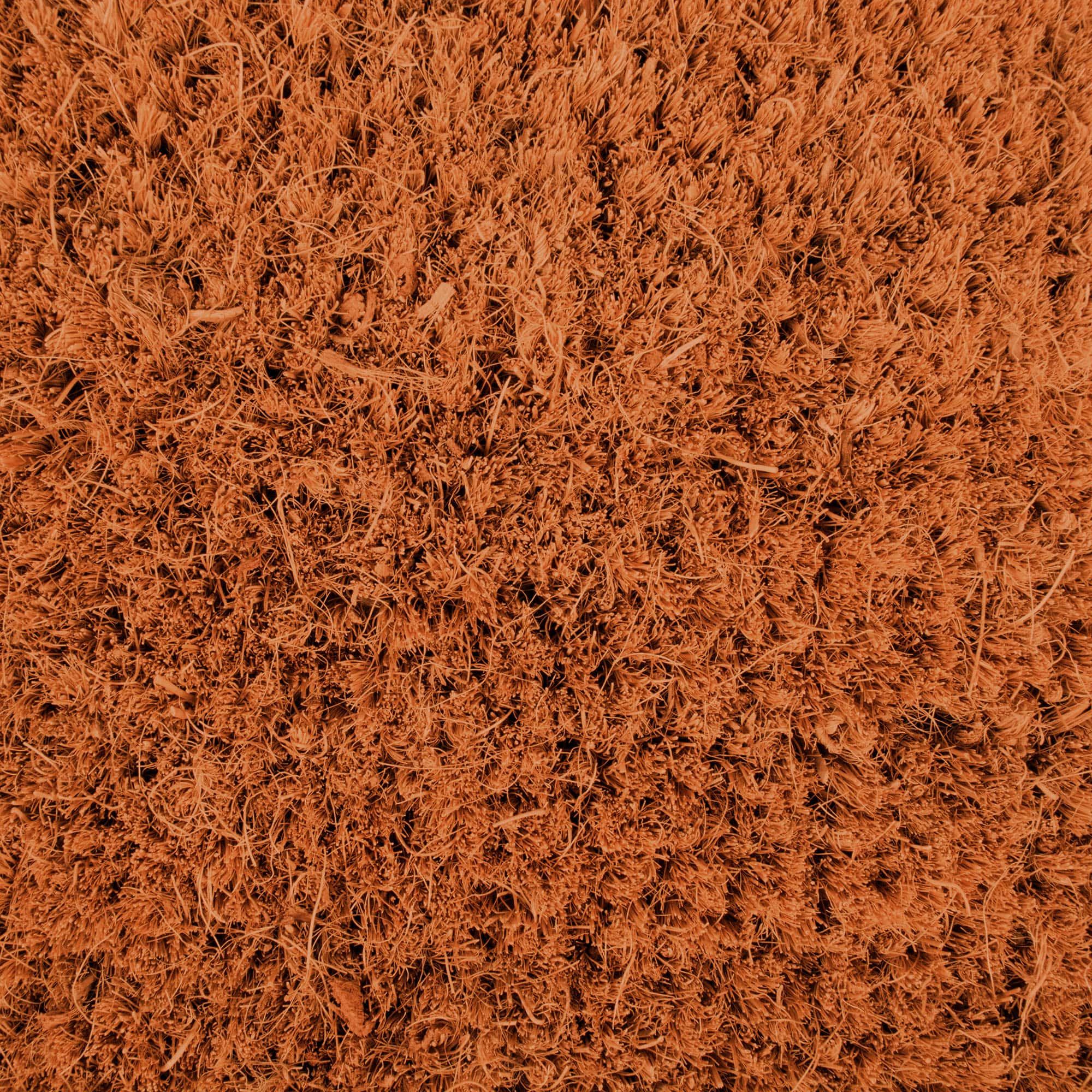 DII® Give Thanks Pumpkin Doormat