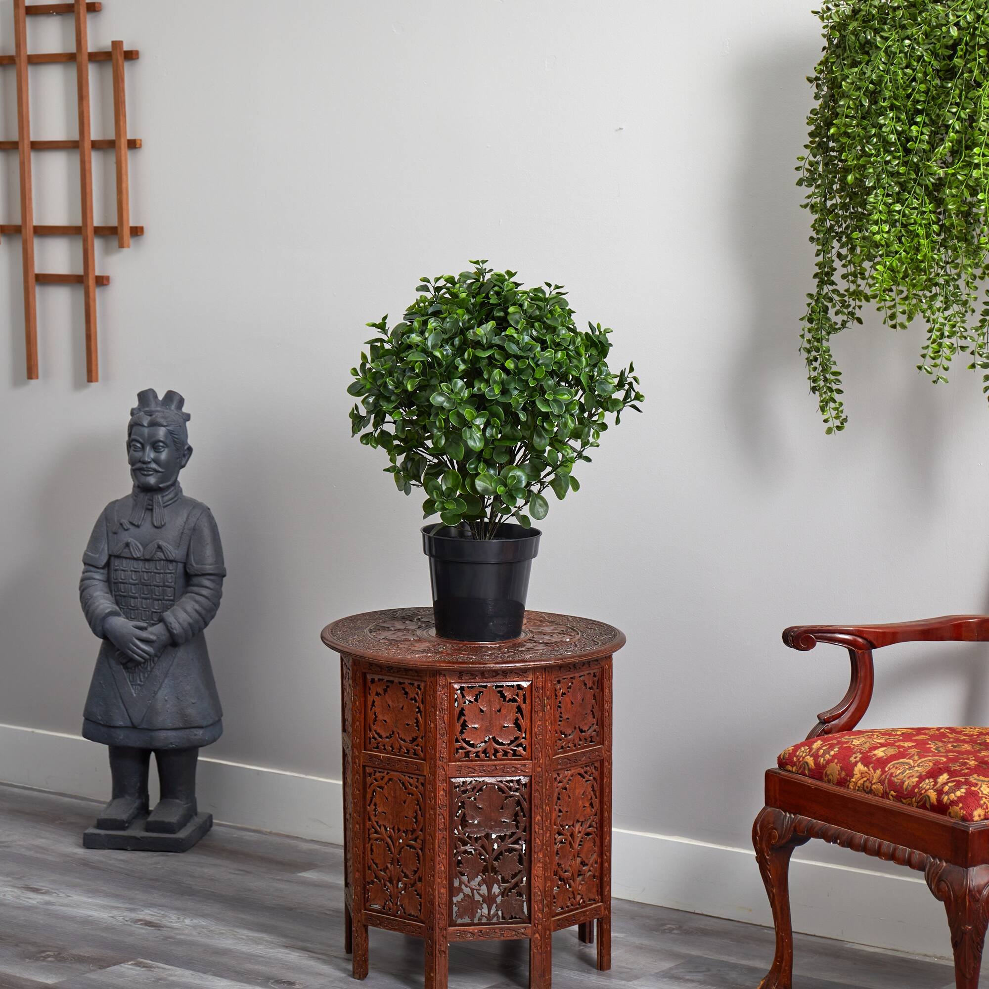 2.5ft. Potted Peperomia Plant