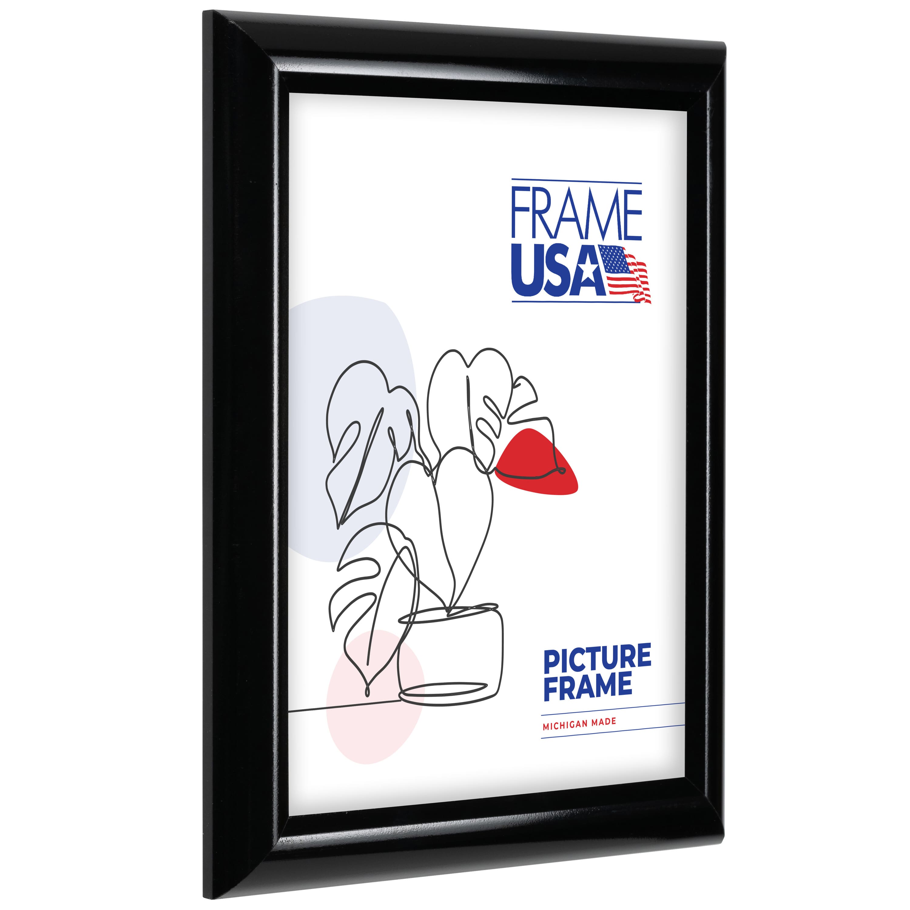 Frame USA Deluxe Poster Black Single Image Picture Frame