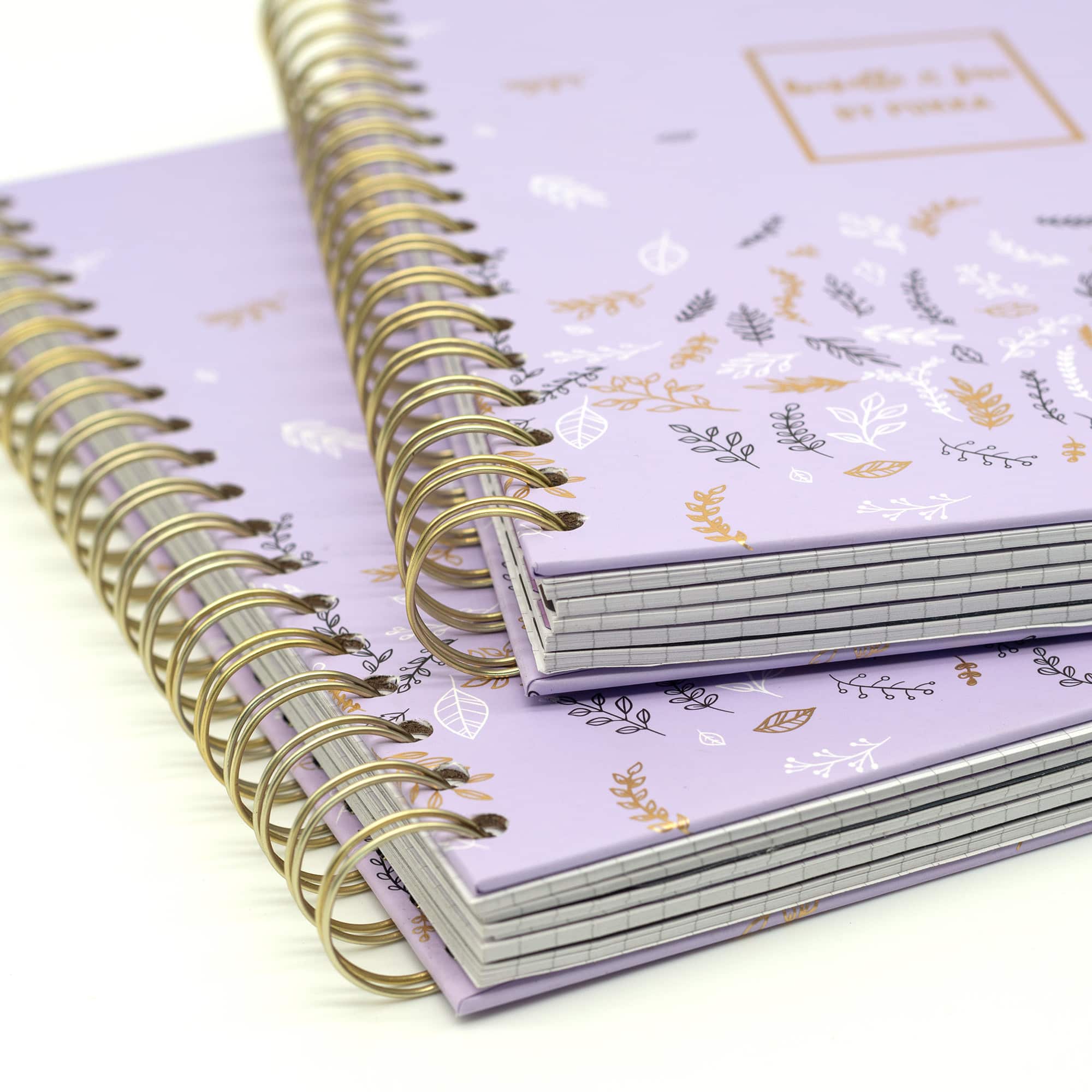 Pukka Pads Purple B5 Rochelle & Jess Squared Project Books, 3ct.