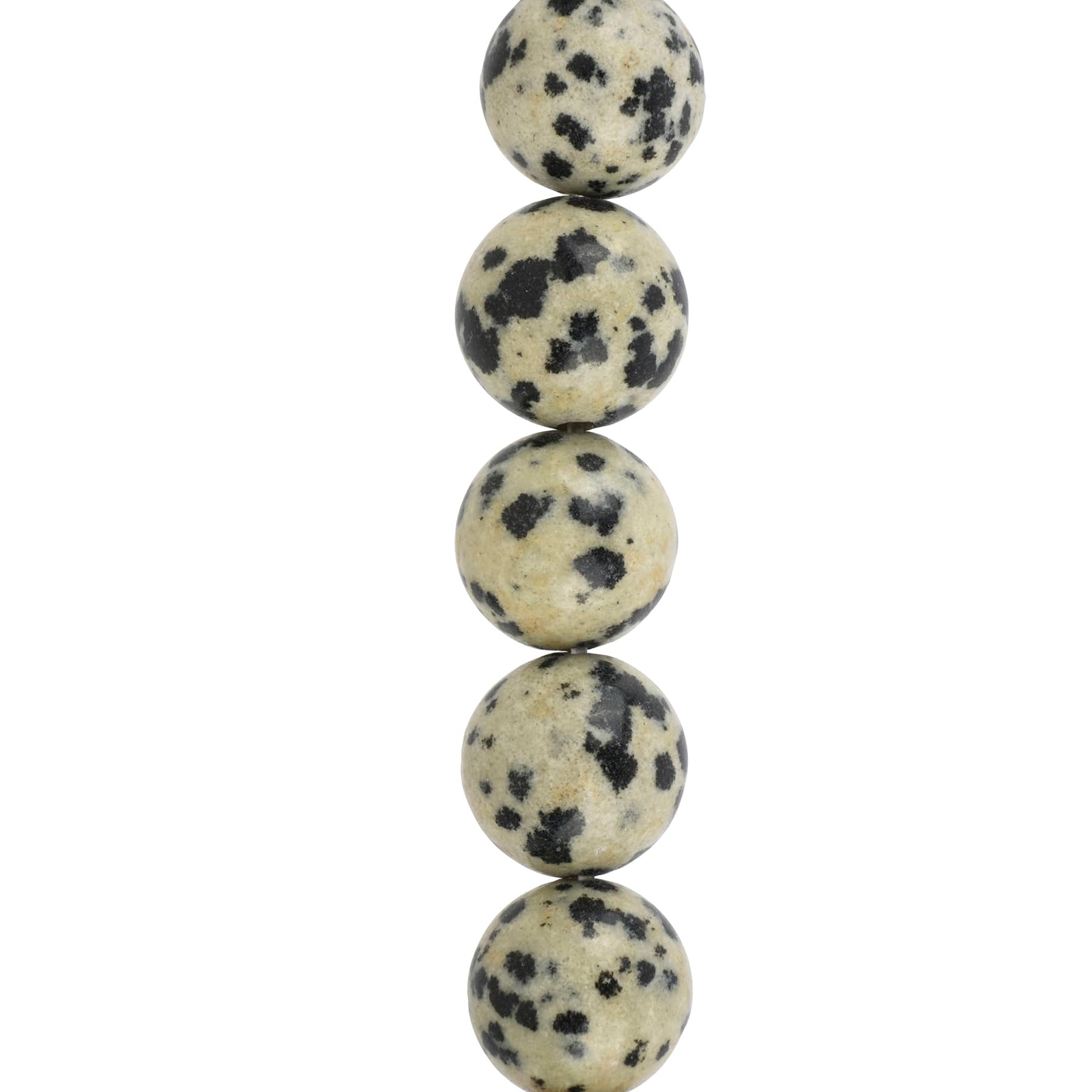 Black & White Dalmatian Jasper Round Beads by Bead Landing™