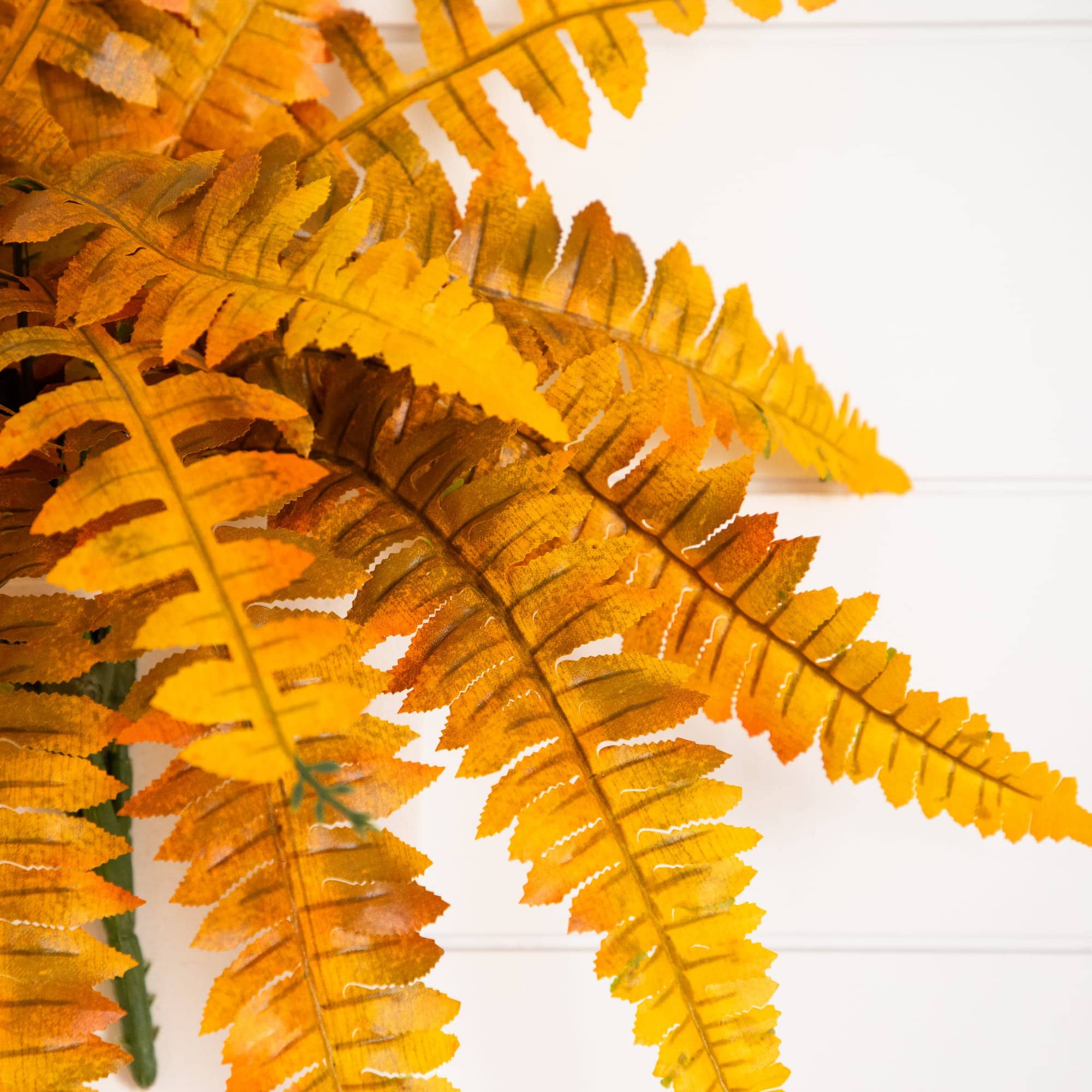 19in. Autumn Artificial Fall Boston Fern - Set of 6
