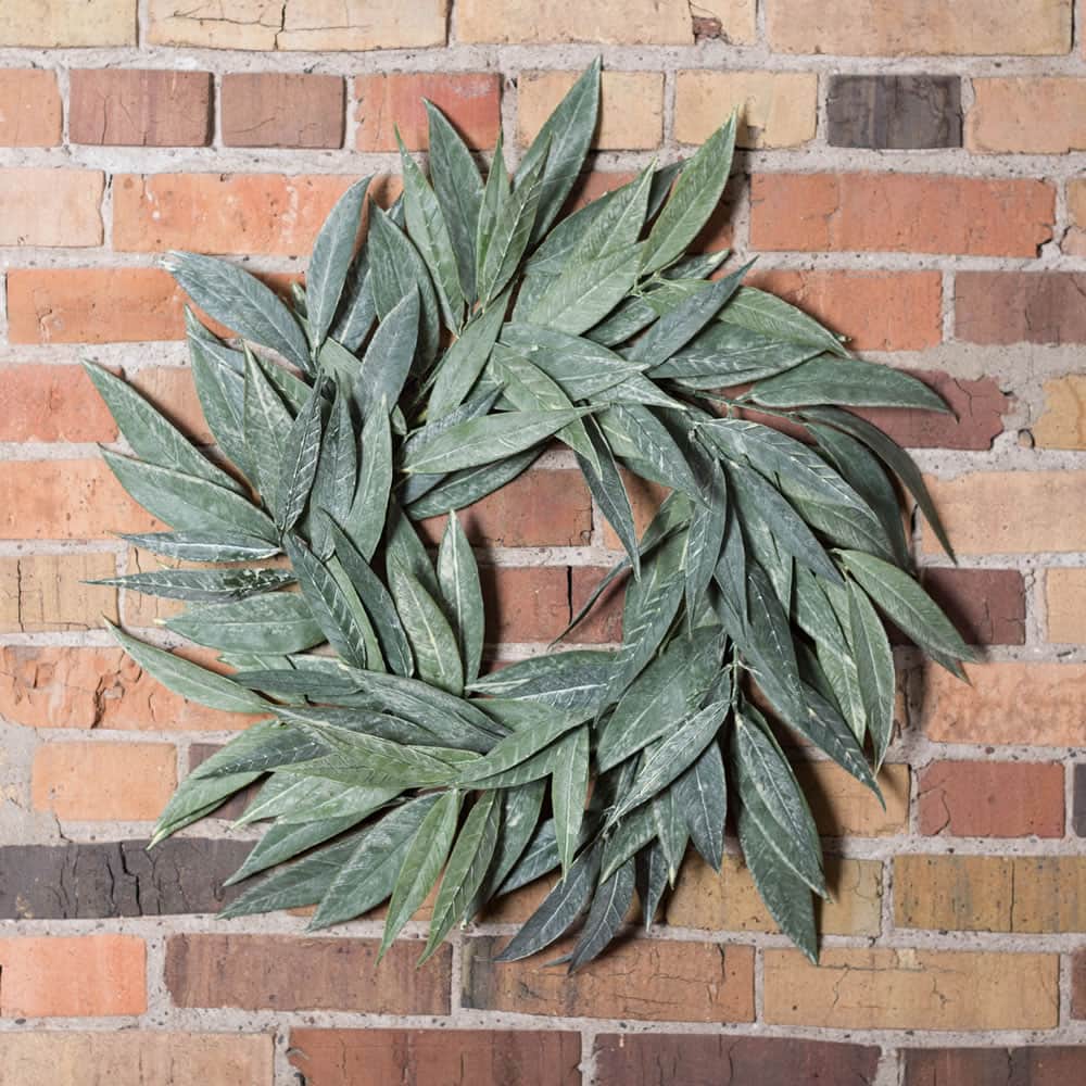 24" Green Muddy White Willow Wreath