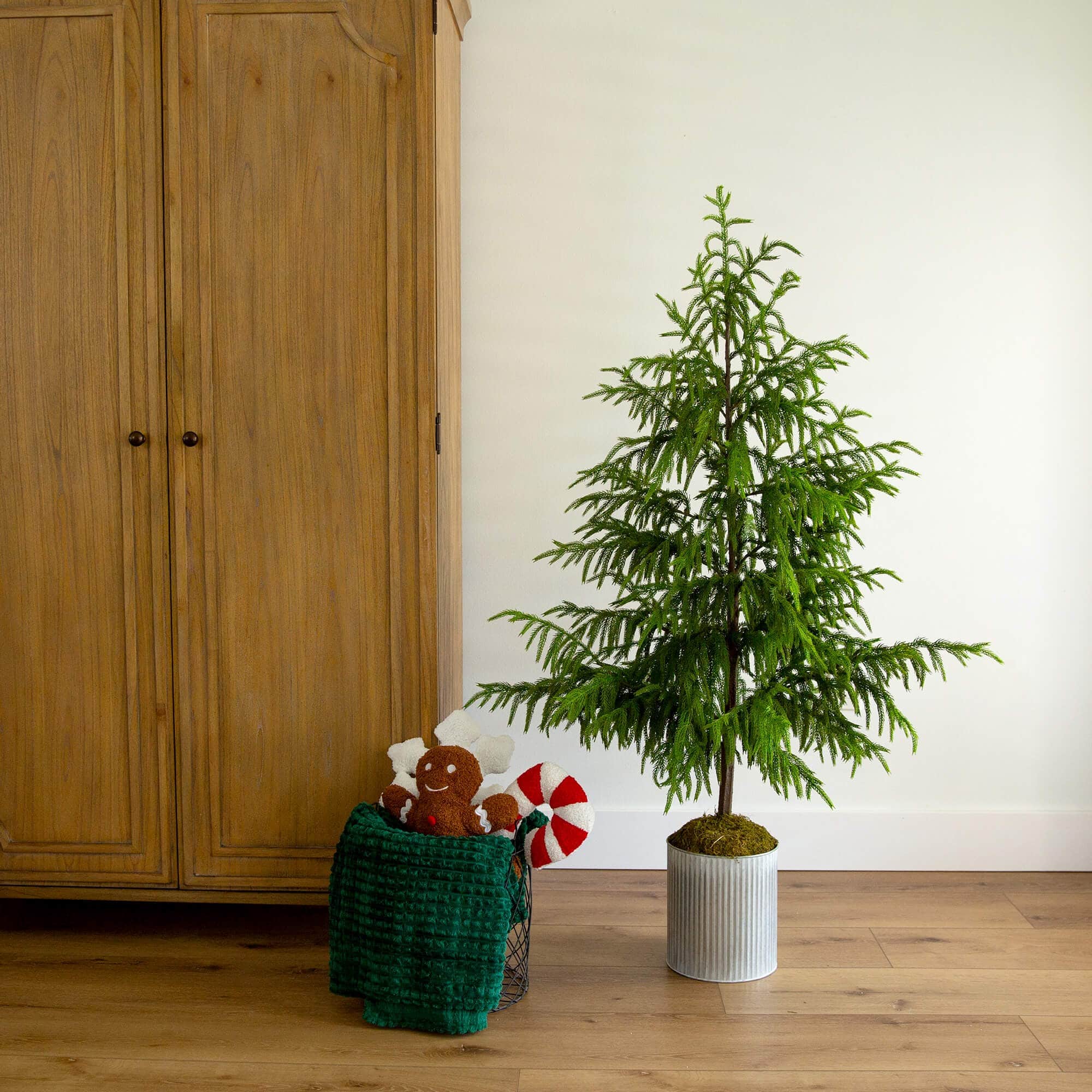 5ft. Unlit Real Touch Norfolk Island Pine Artificial Christmas Tree in Metal Planter