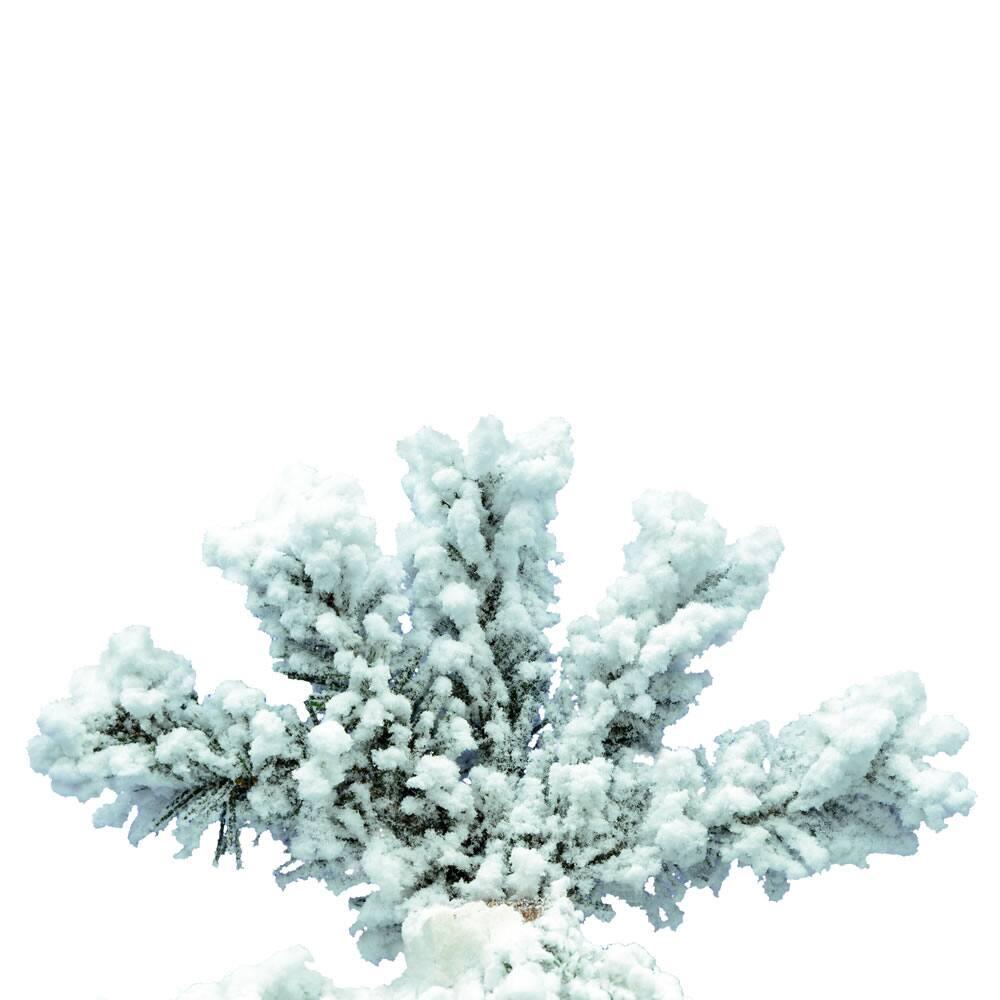 7ft. Unlit Flocked Spruce Artificial Christmas Tree