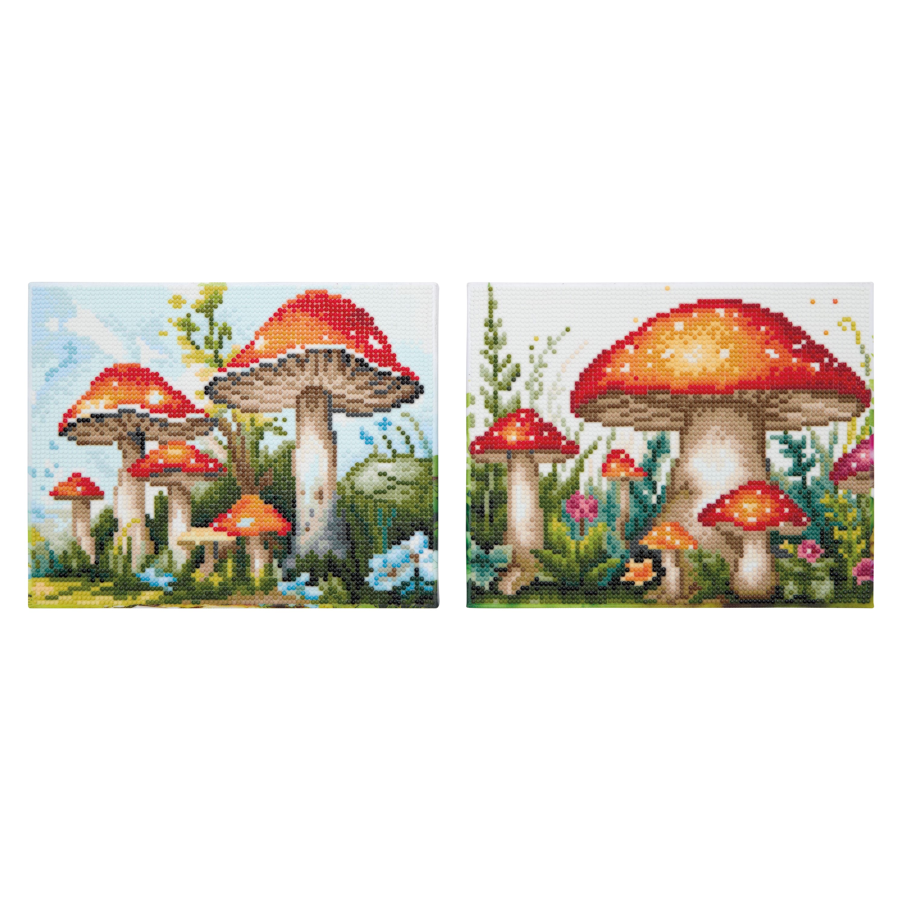 8" x 10" Mushrooms Diamond Art Kit by Make Market®