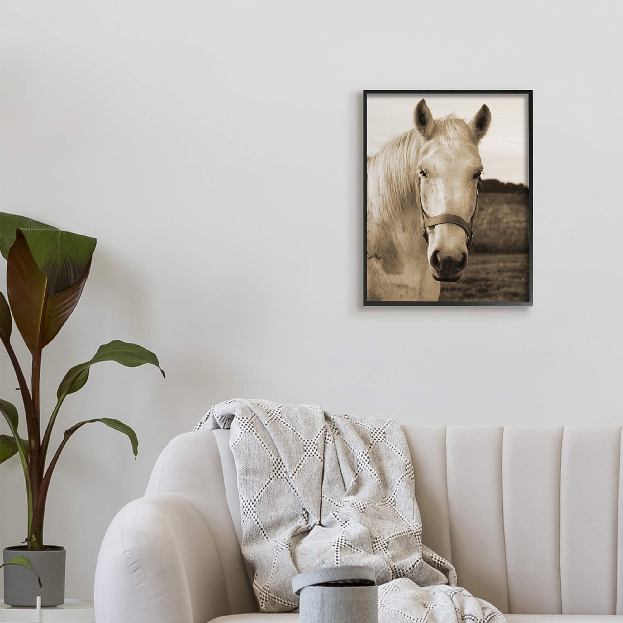 Stupell Industries Rustic Sepia tone Portrait of White Horse in Frame Wall Art