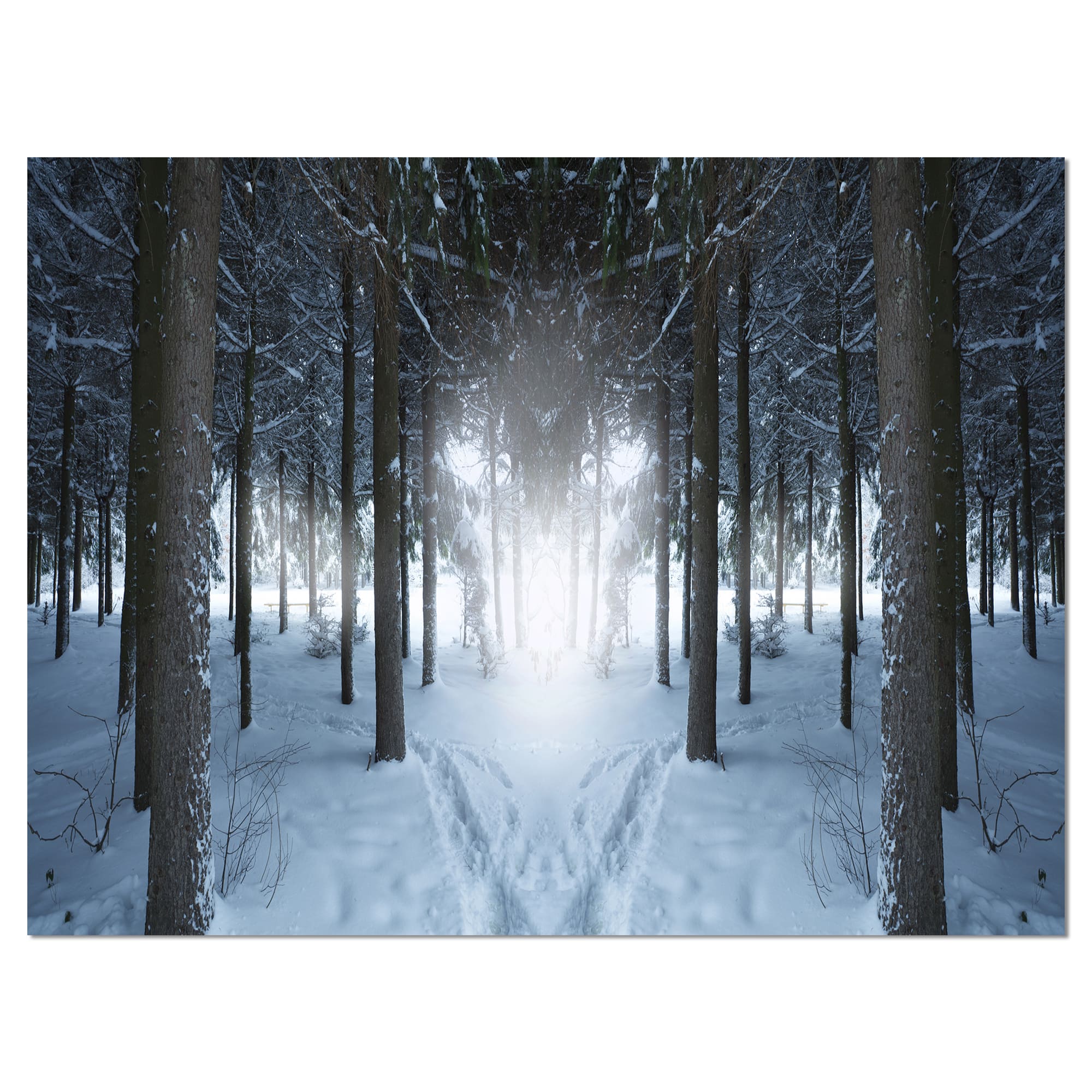 Designart - Winter Forest with Dark Woods - Landscape Canvas Art Print