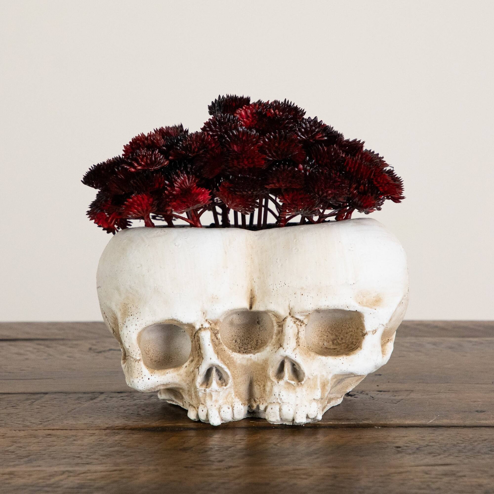 6" Artificial Halloween Succulent Plant in Double Skull Planter