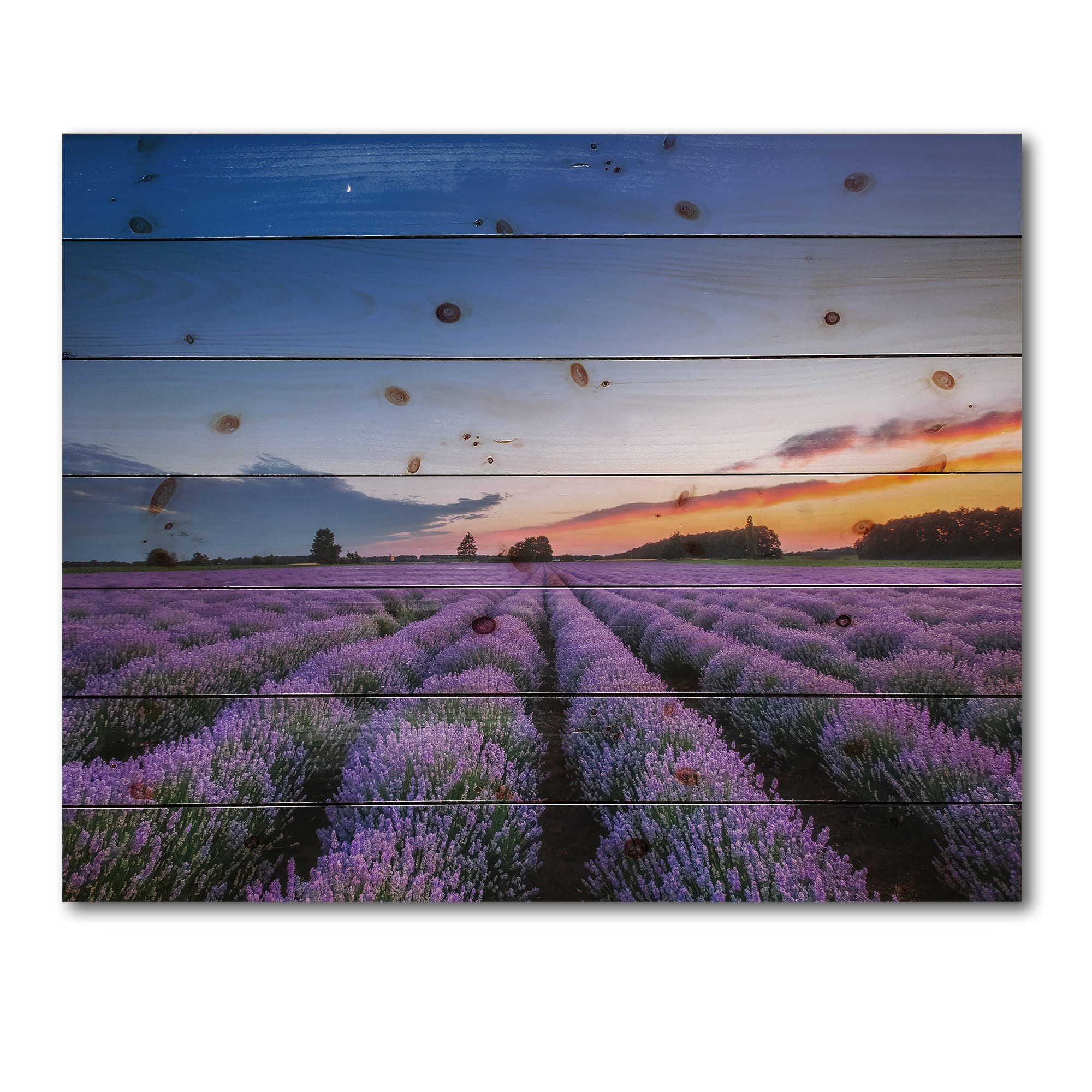 Designart - Sunrise & Dramatic Clouds Over Lavender Field I - Farmhouse Print on Natural Pine Wood
