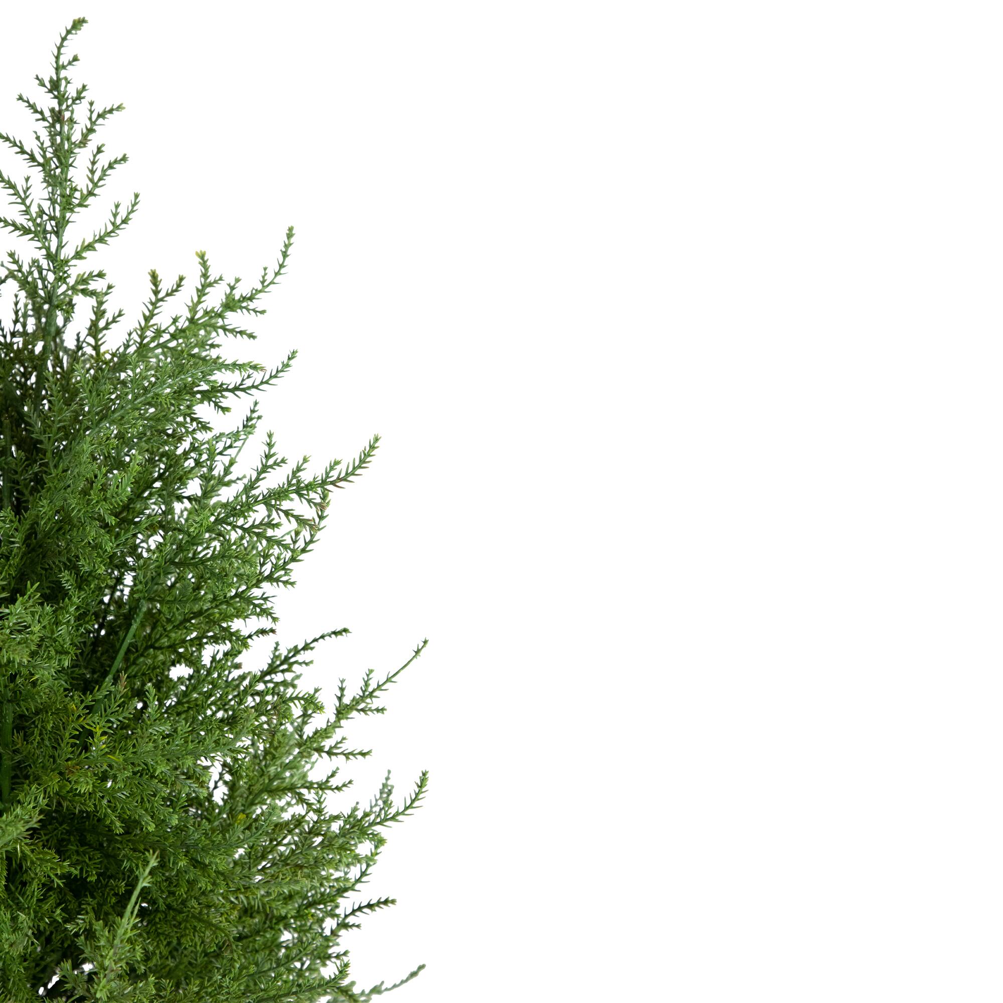 3ft. Unlit Artificial Cedar Pine Petite Arborvitae Tree in Round Pot